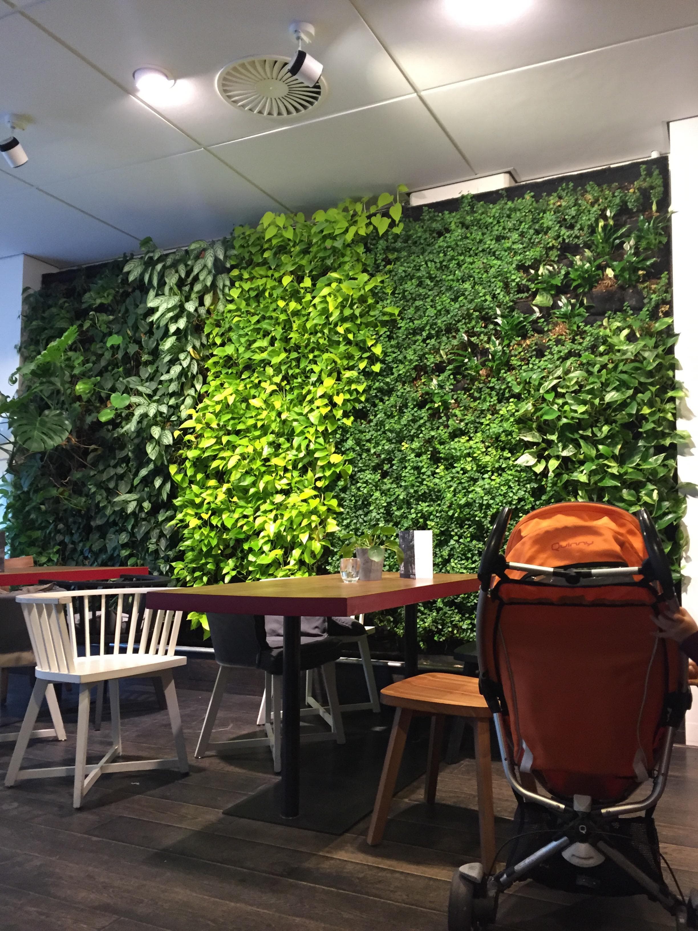 Conscious Hotel Vondelpark Ansicht 6