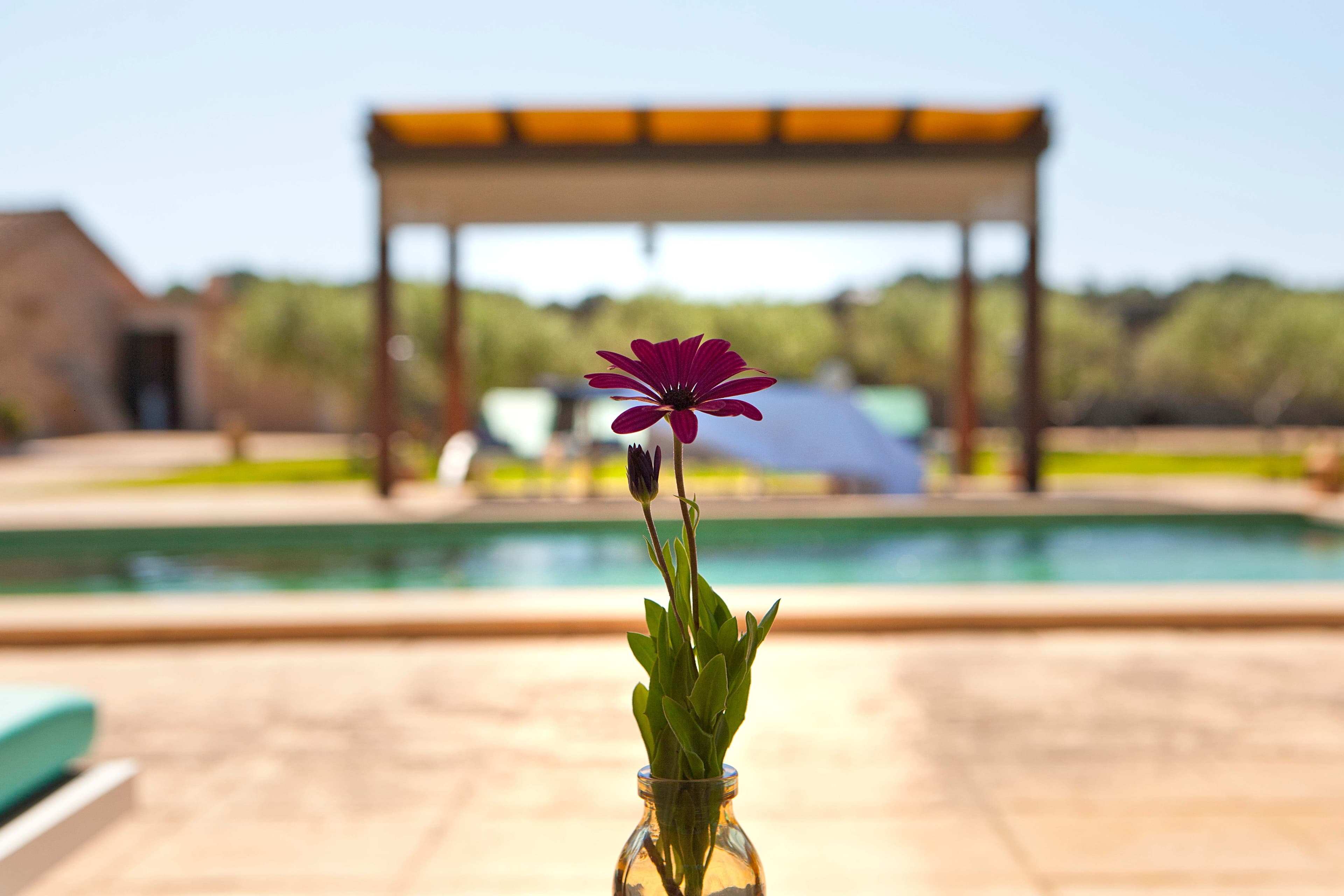Agroturismo S'Hort de Son Caulelles - Adults only Ansicht 6