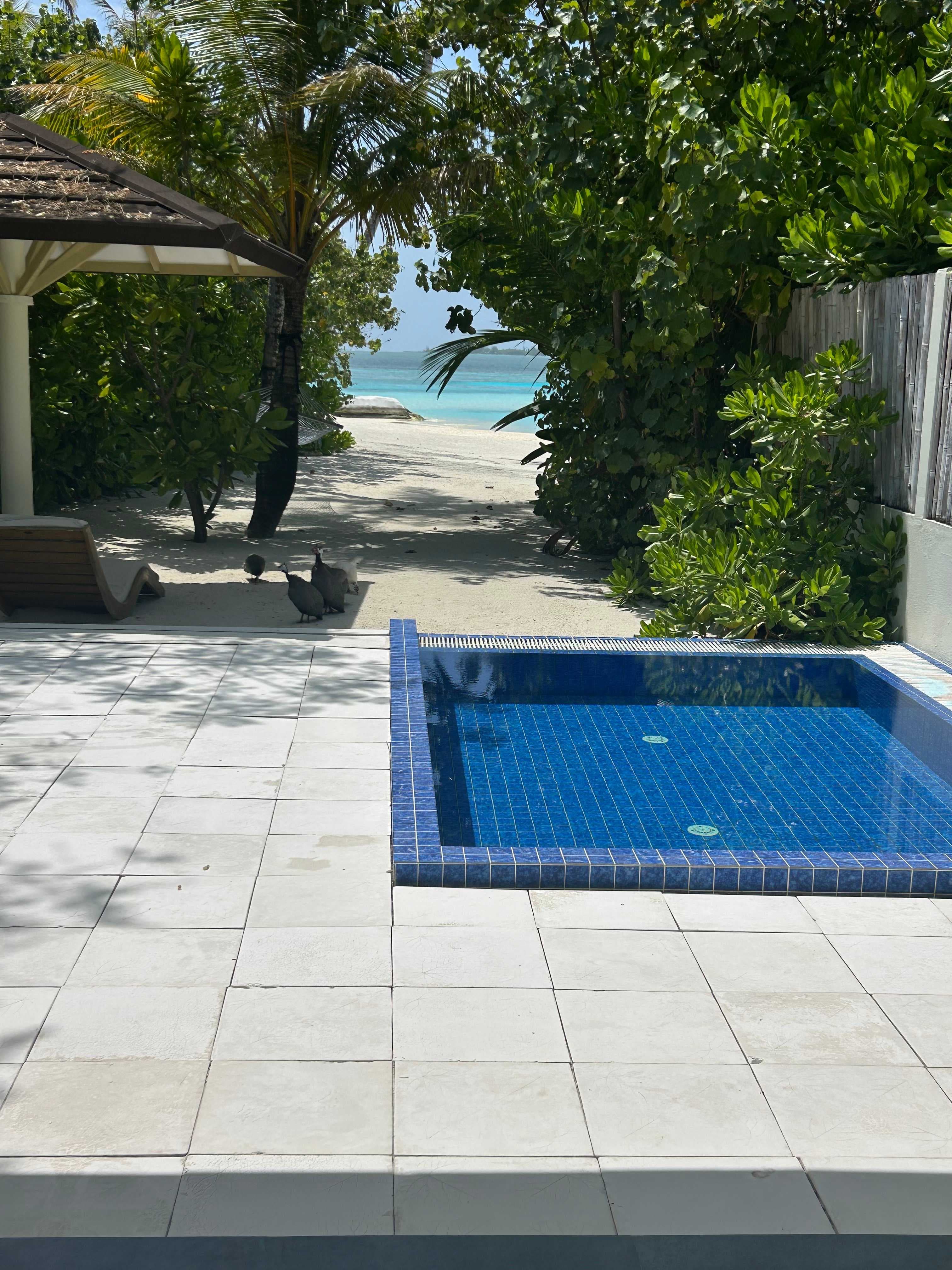 TUI BLUE Olhuveli Romance Ansicht 4