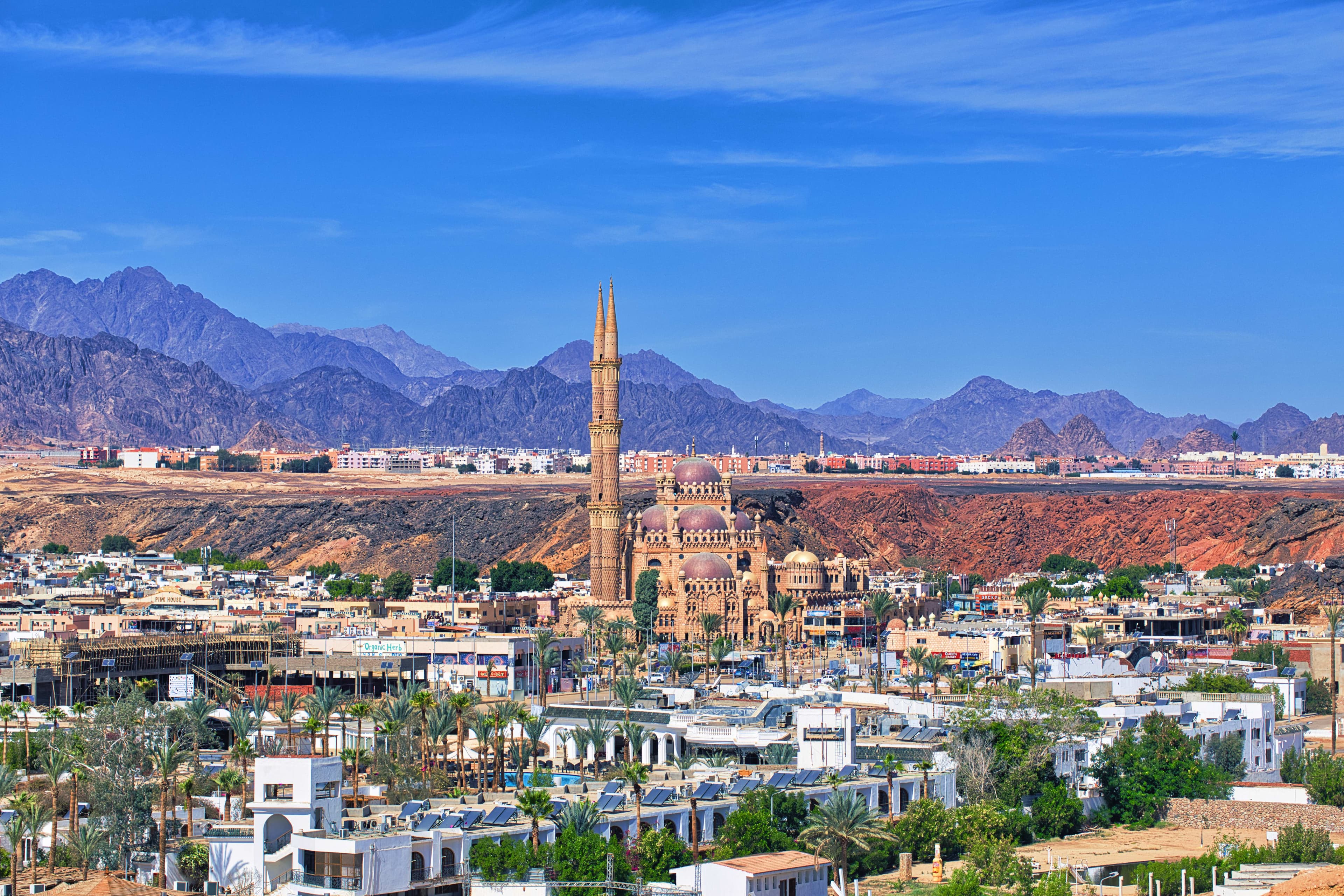 Albatros Sharm Resort Ansicht 8