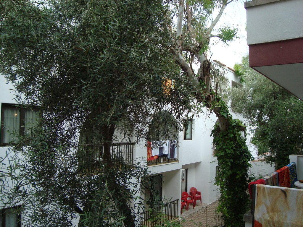 Ama Ibiza Beachfront Suites Ansicht 2