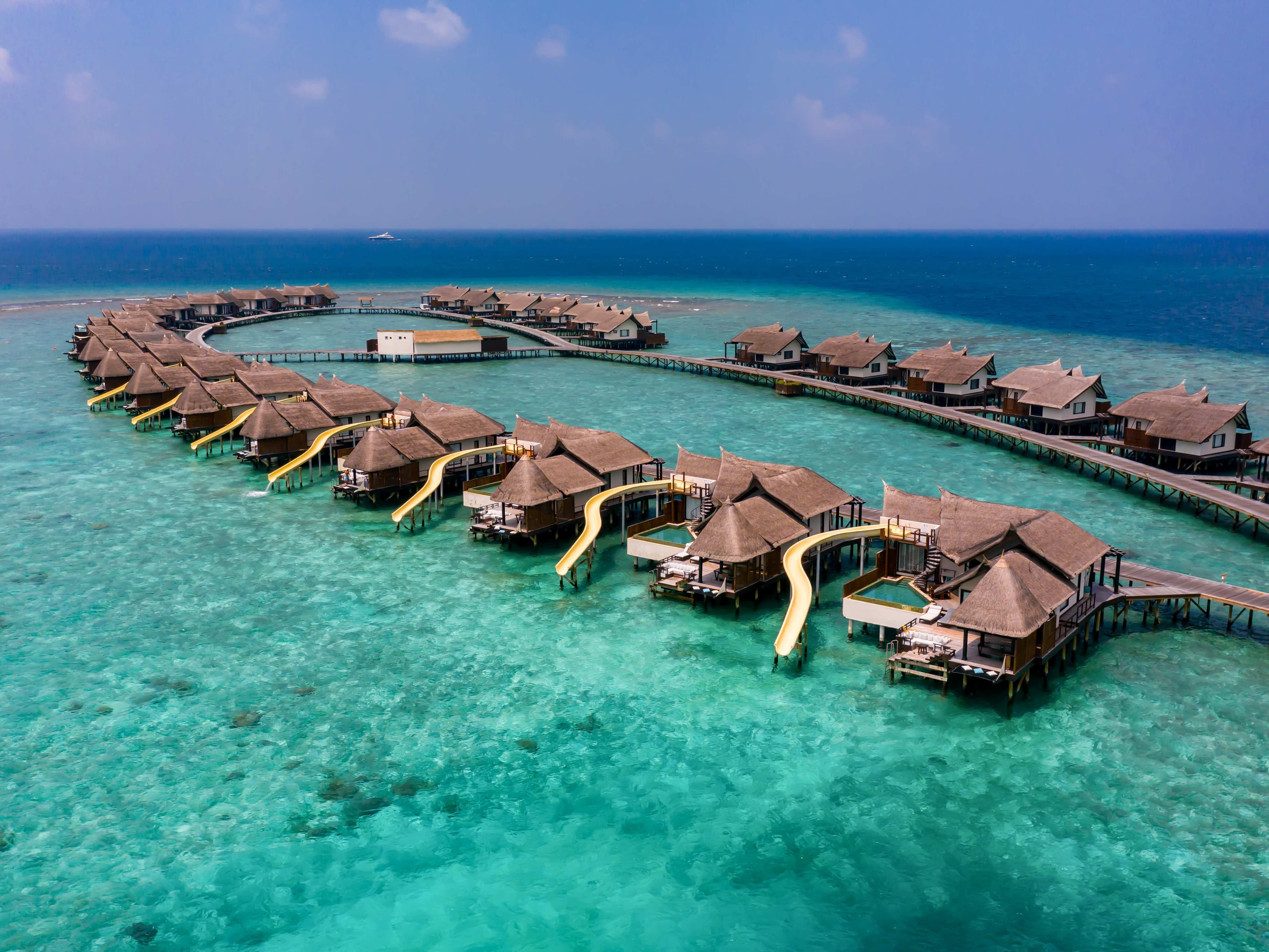 OZEN RESERVE BOLIFUSHI Ansicht 2
