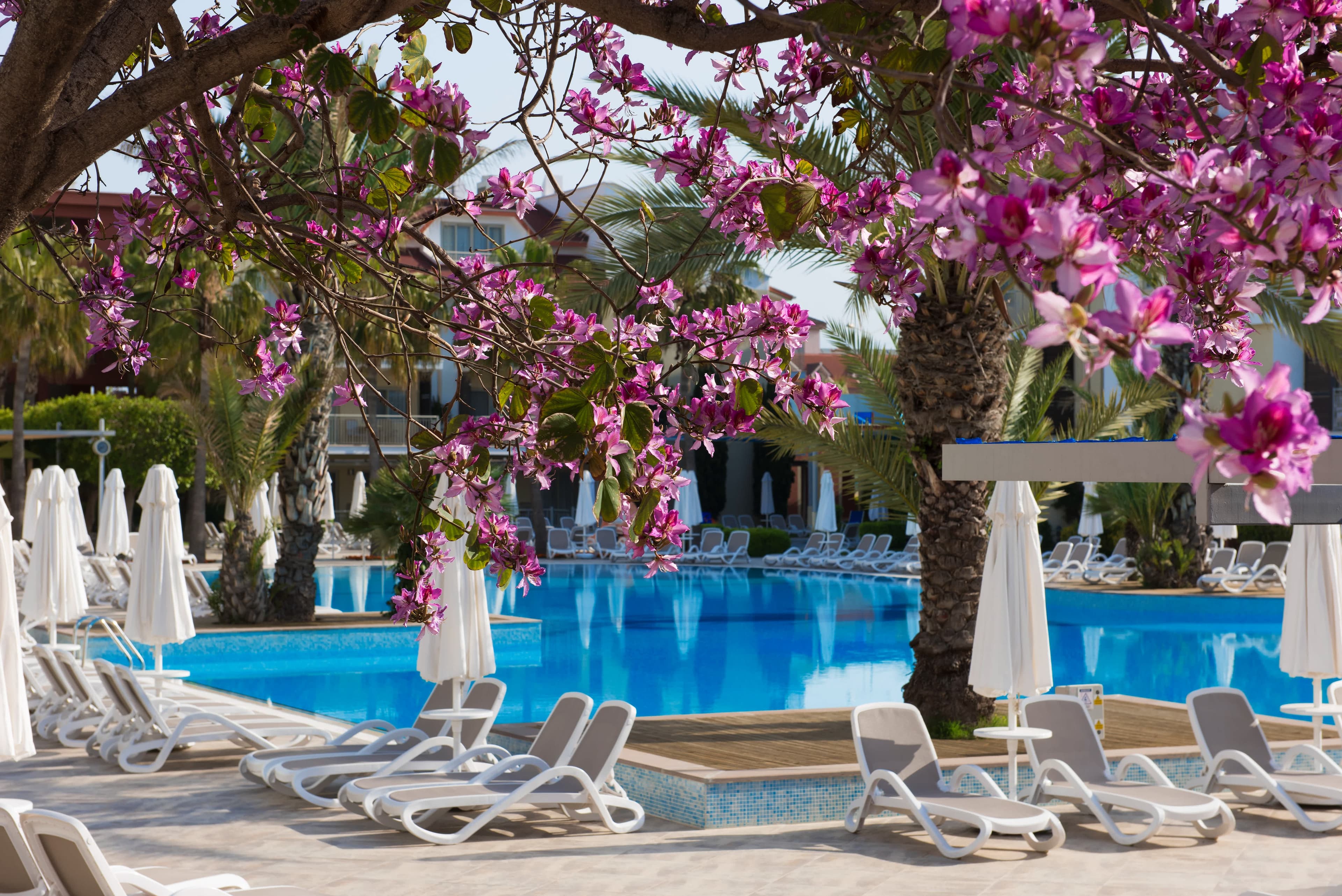 Barut B Suites Ansicht 8