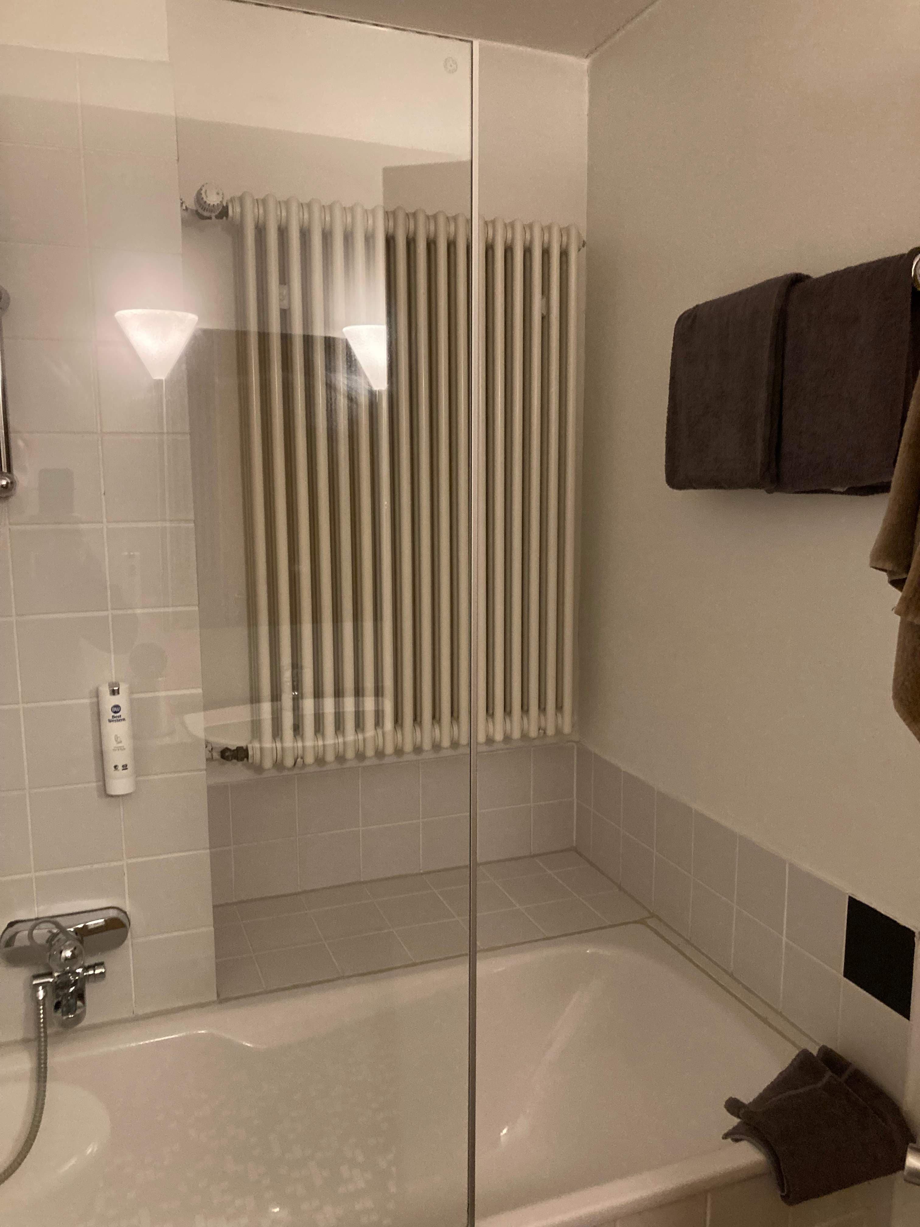 Best Western Hotel Kurfürst Wilhelm I Ansicht 6