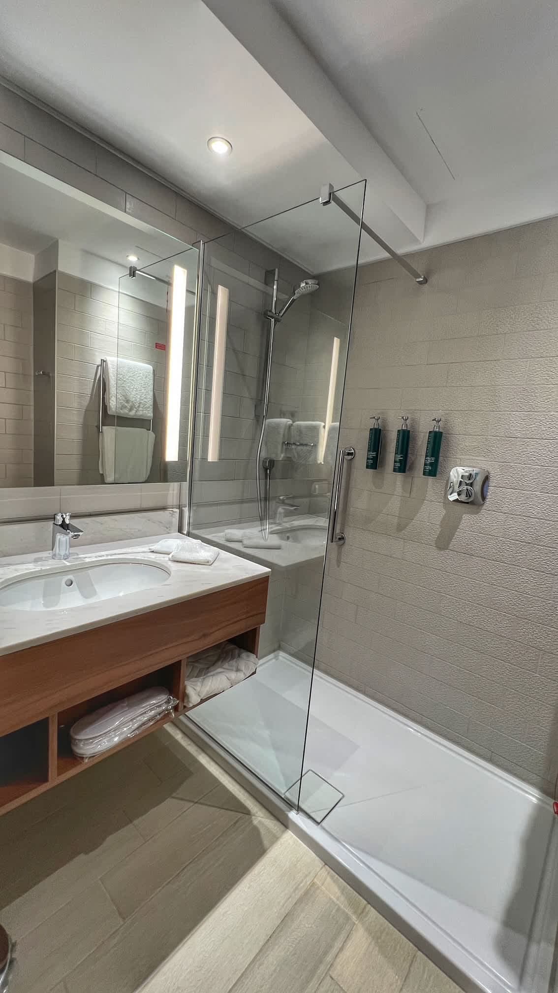Hilton Garden Inn Bucharest Old Town Ansicht 6