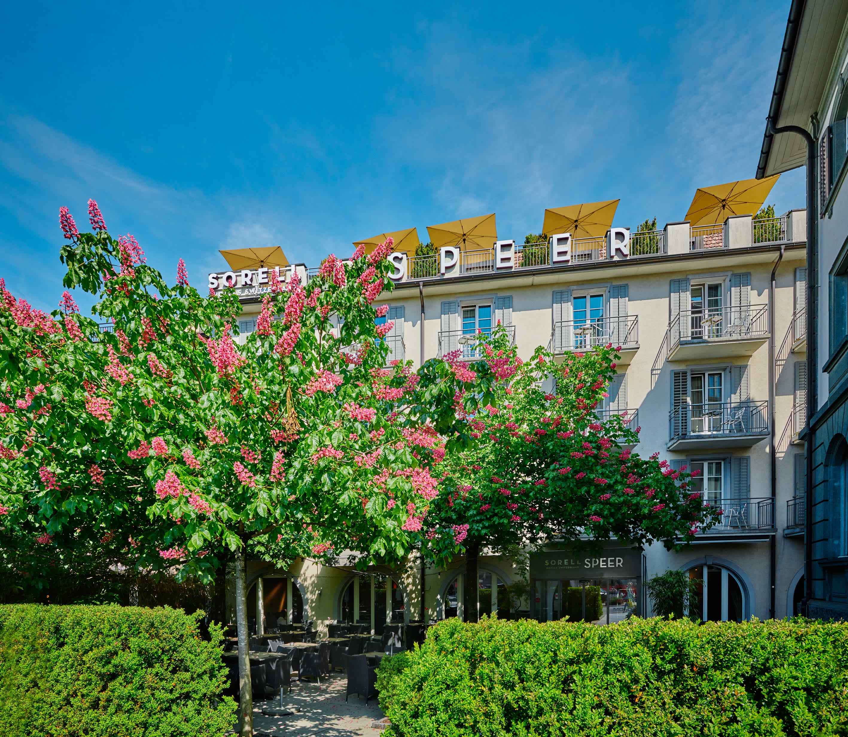Sorell Hotel Speer Ansicht 3