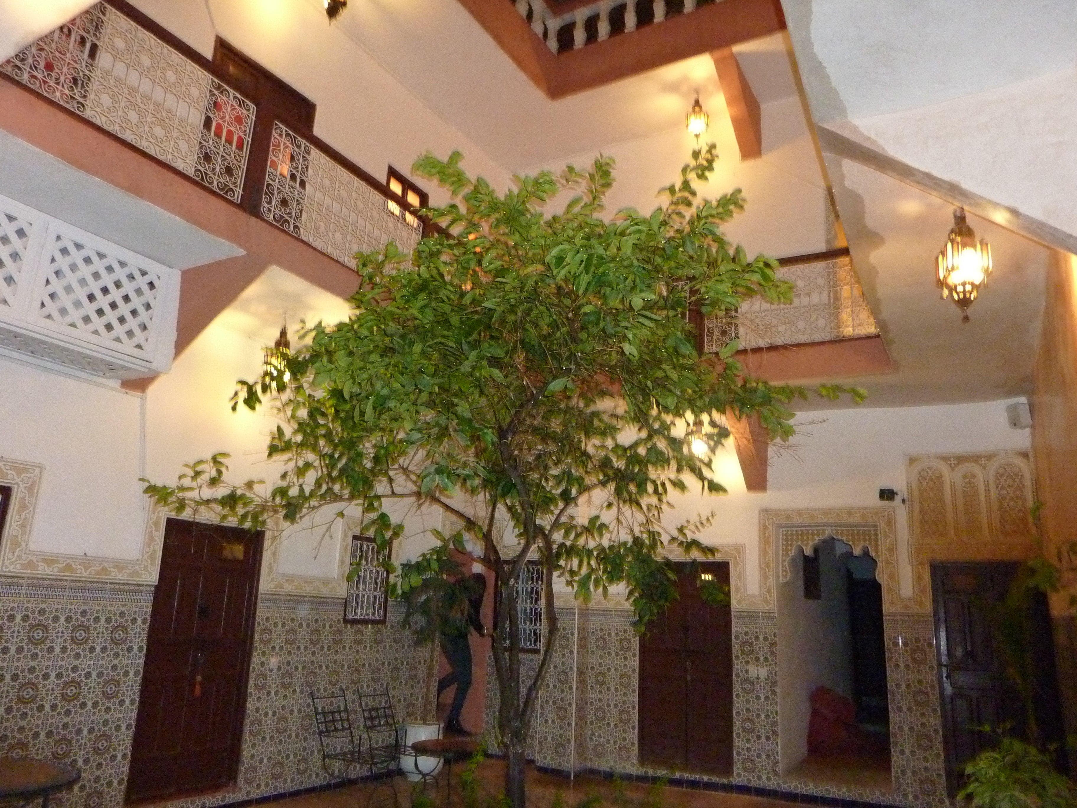 Hotel Riad Les Oliviers Ansicht 3