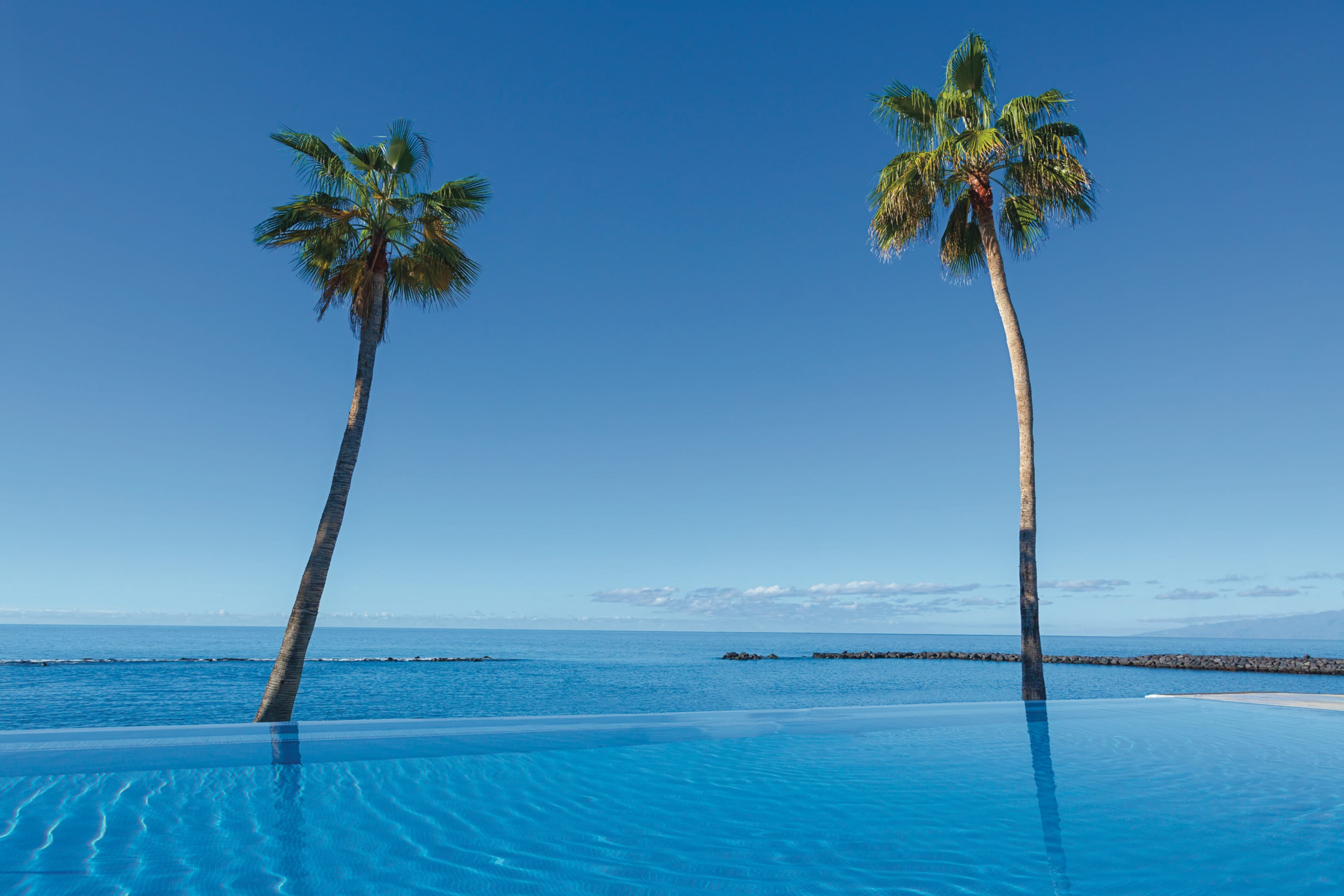 Hotel Riu Arecas - Adults only Ansicht 6