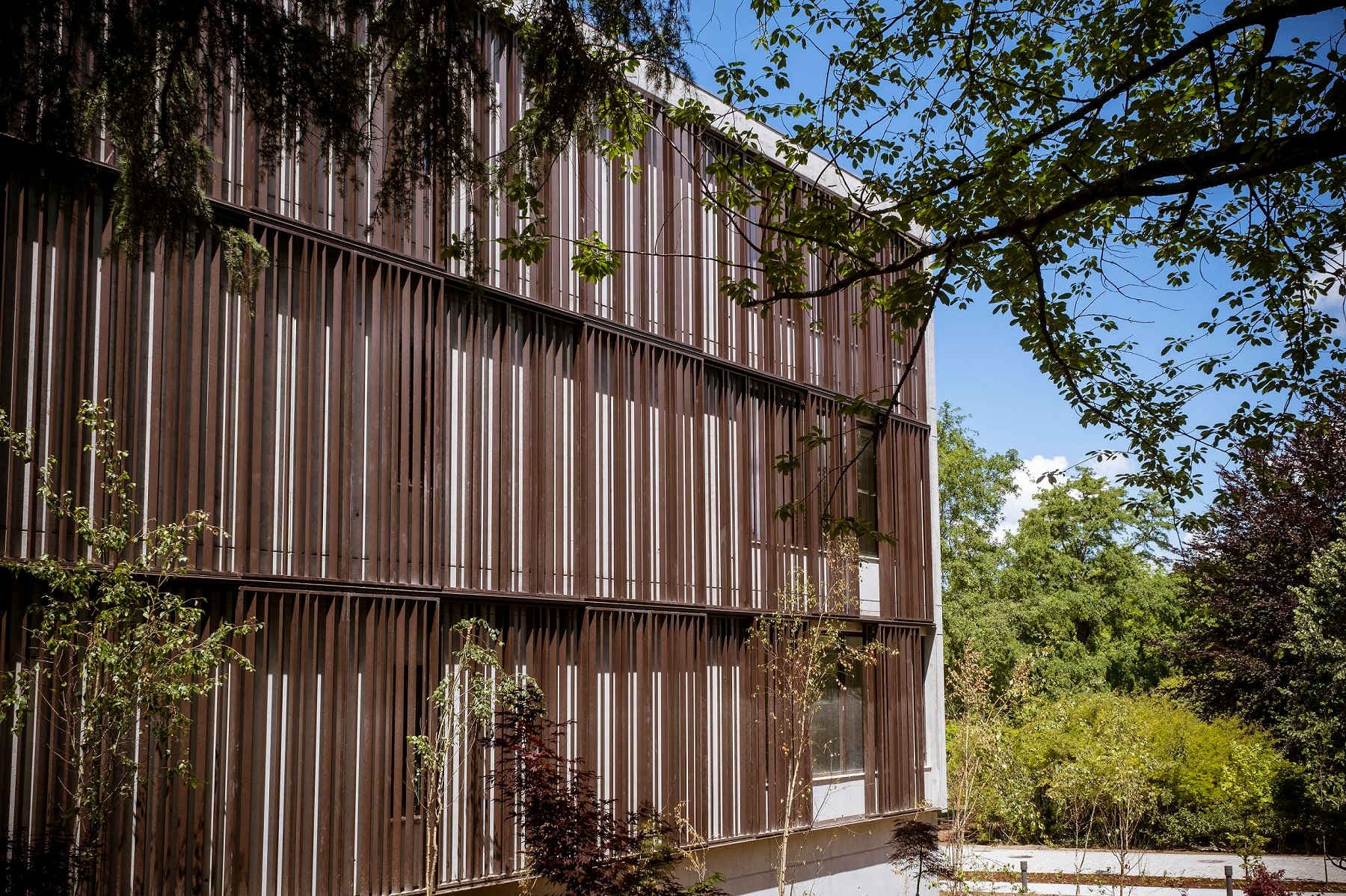 Boeira Garden Hotel Porto Gaia, Curio Collection by Hilton Ansicht 3