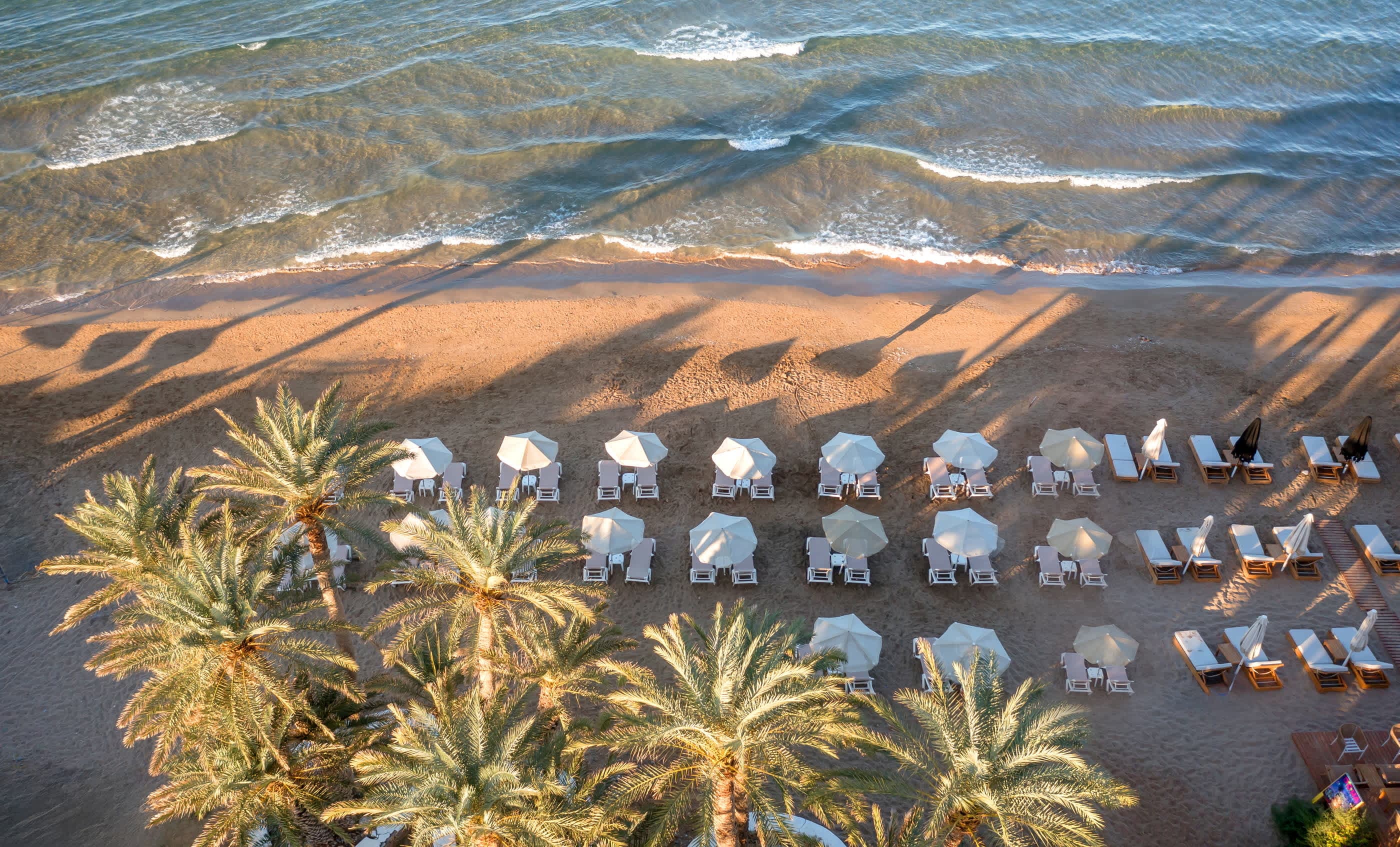 Zeus Hotels Palm Beach Ansicht 8