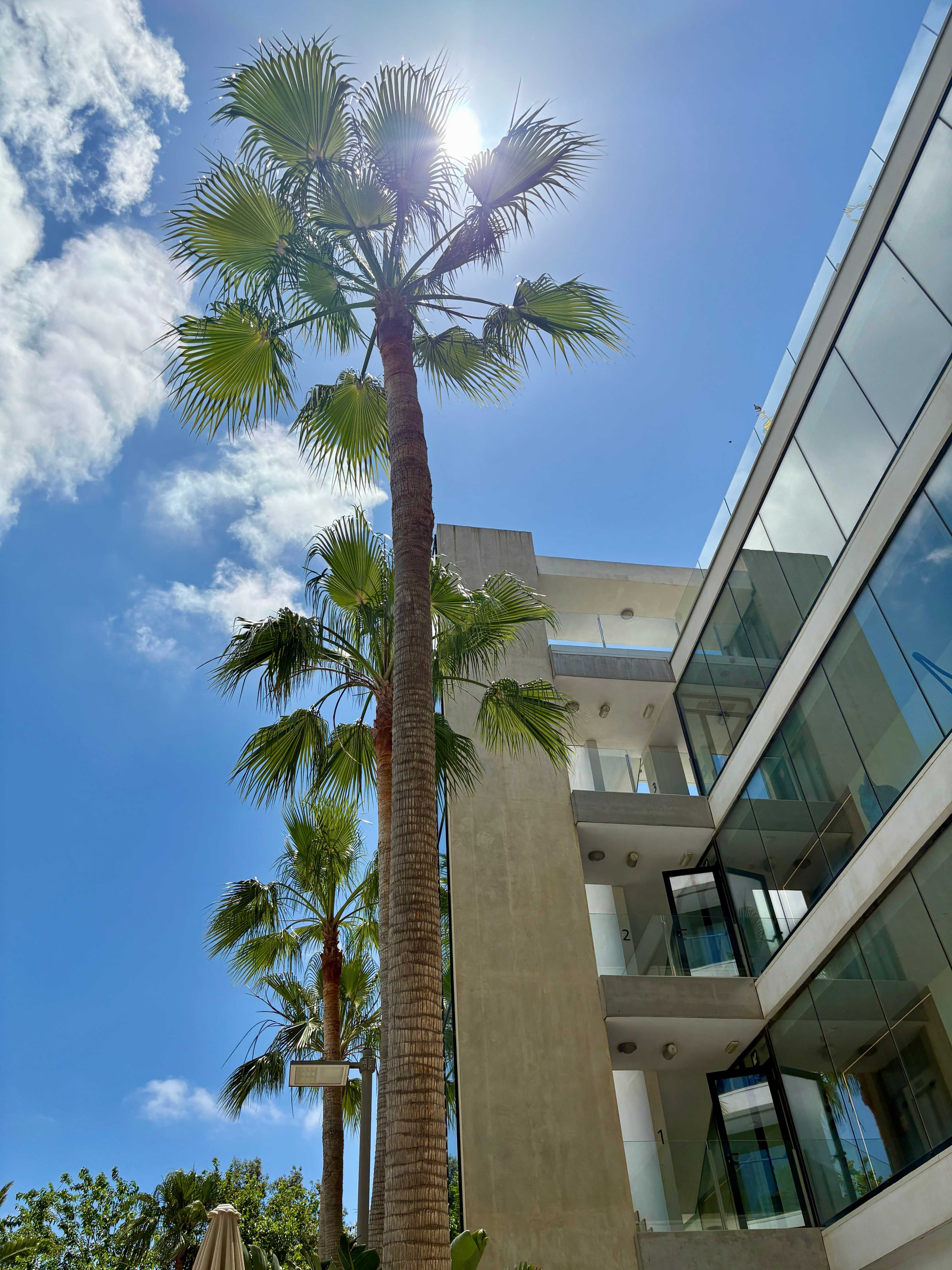 H10 Casa del Mar Ansicht 3