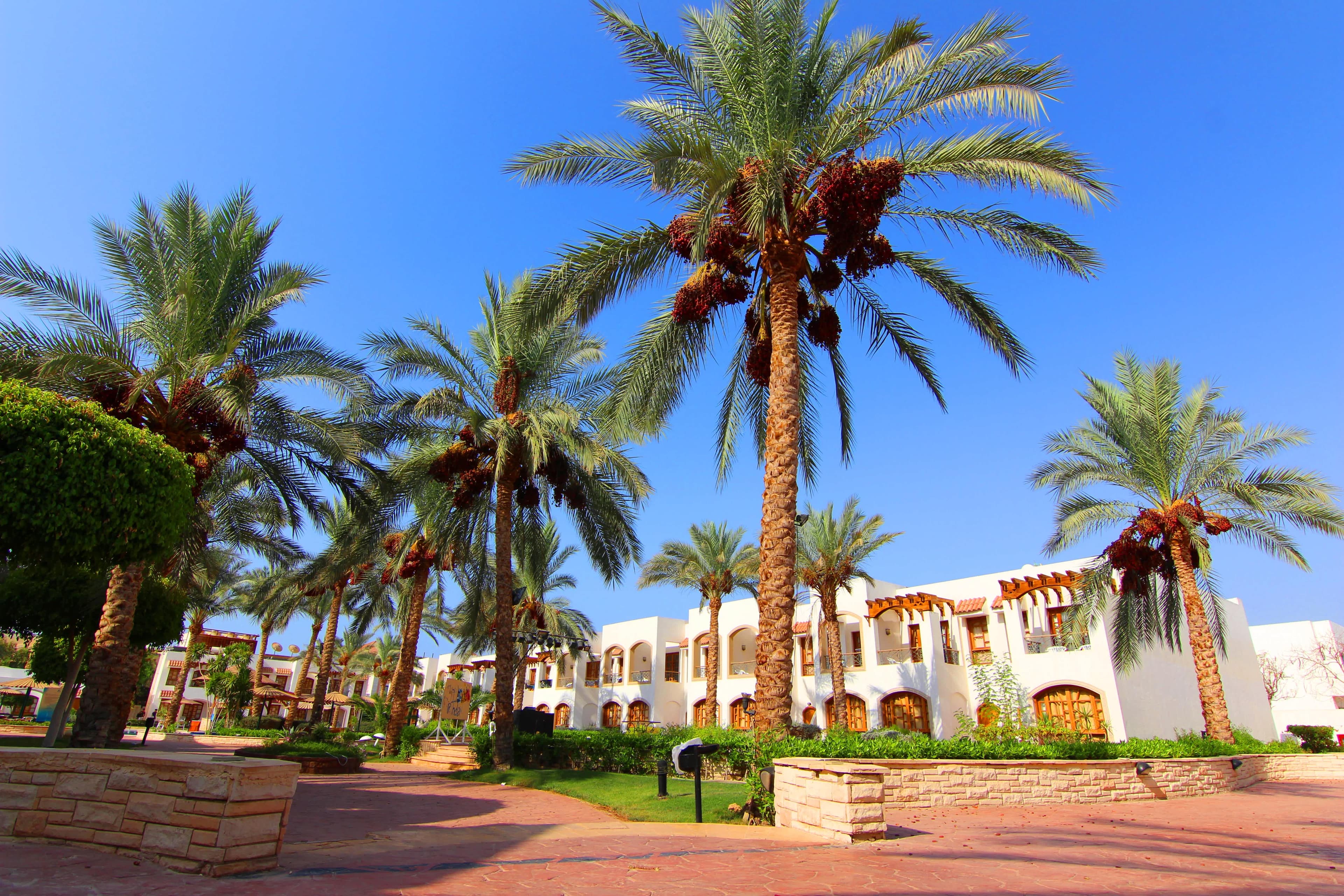 Coral Hills Resort Sharm El-Sheikh Ansicht 2