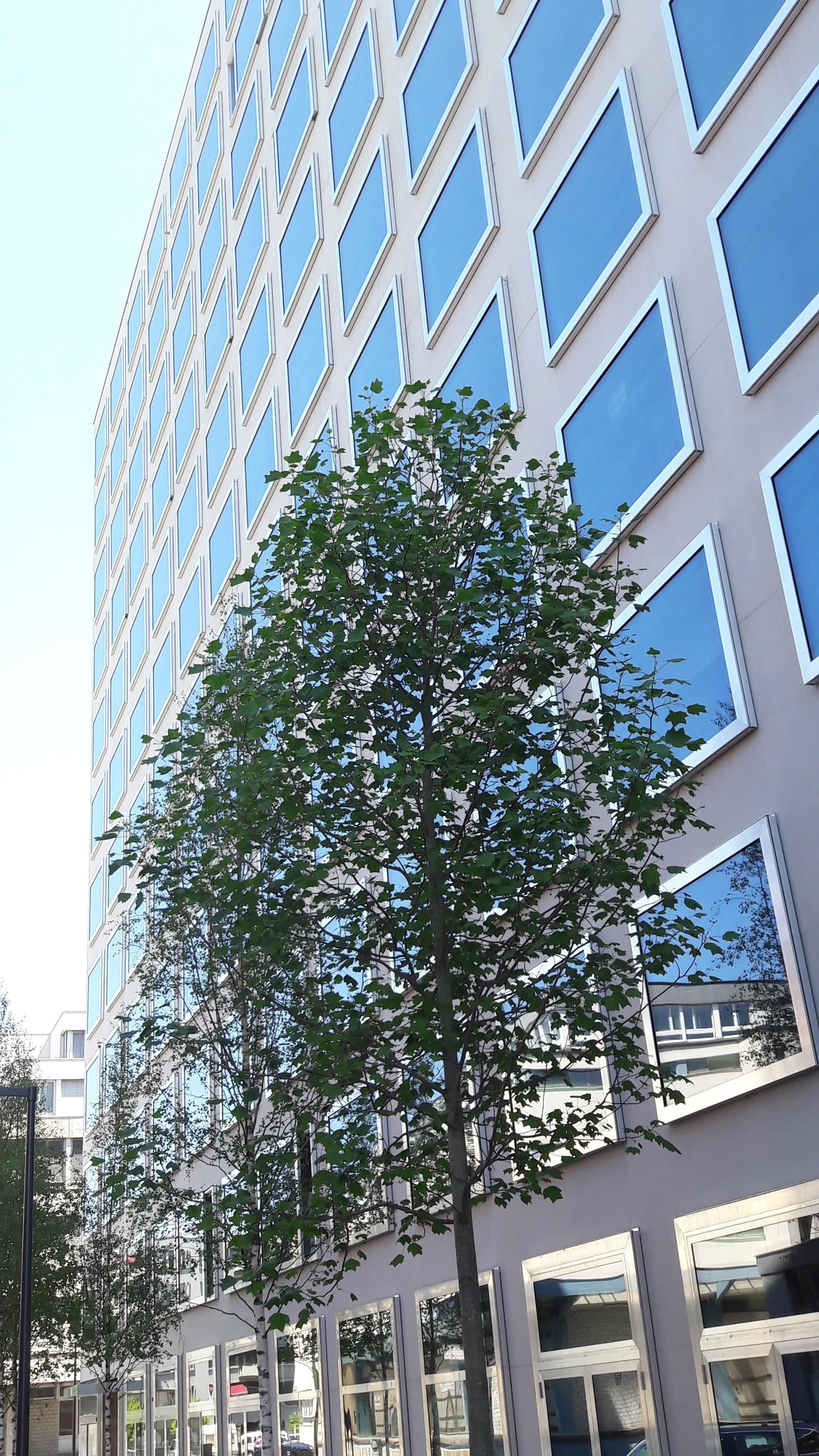 Placid Hotel Design & Lifestyle Zurich Ansicht 2