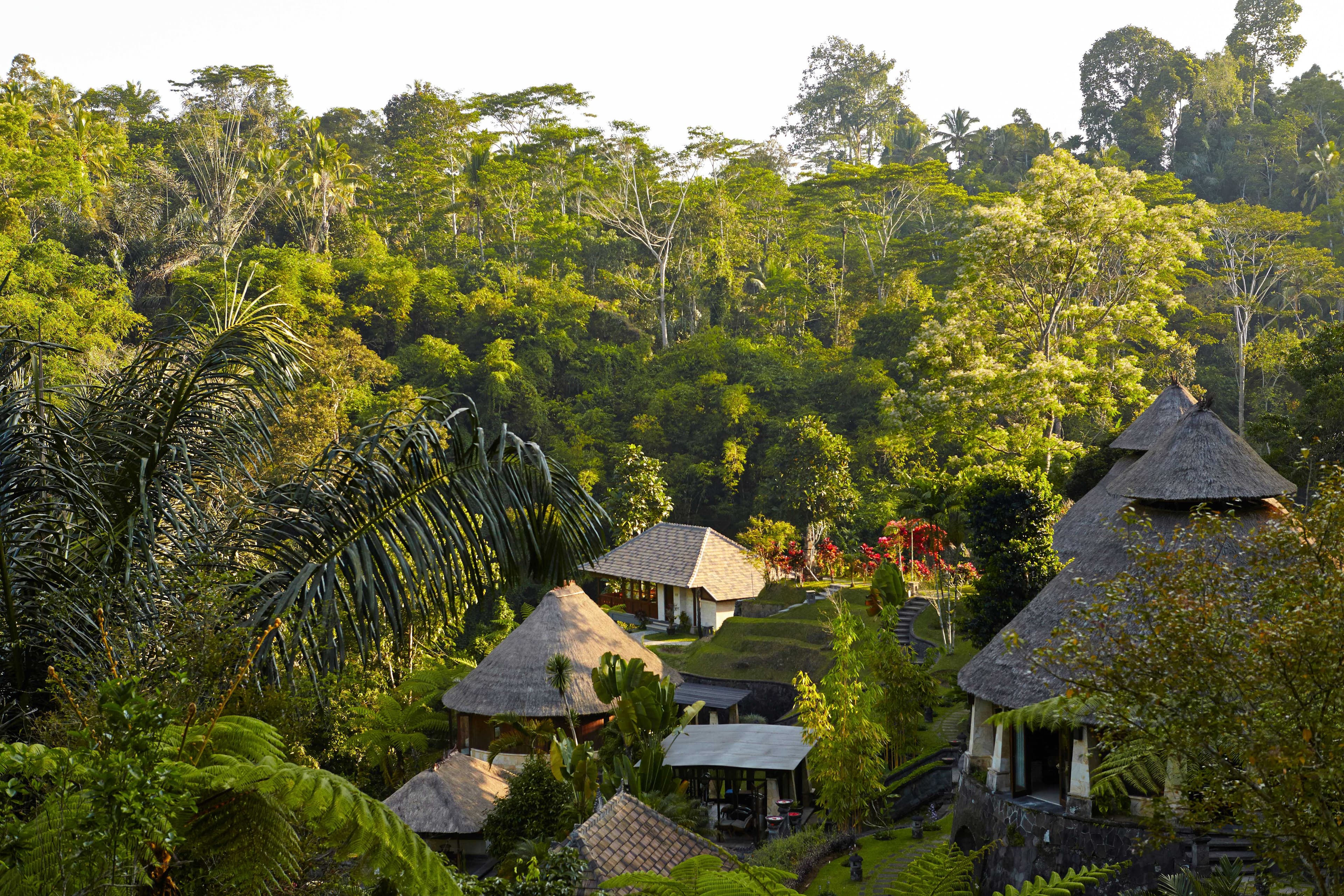 Bagus Jati Health & Wellbeing Retreat Ansicht 7