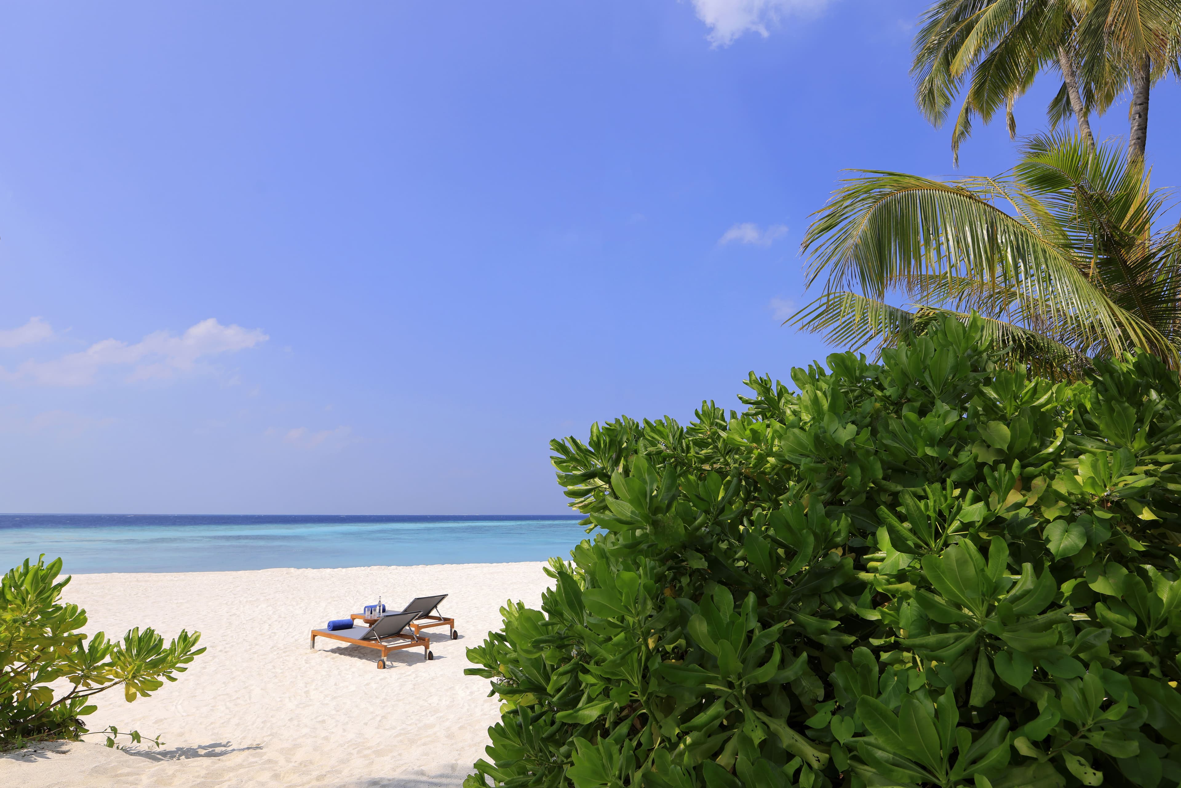 Avani+ Fares Maldives Resort Ansicht 10