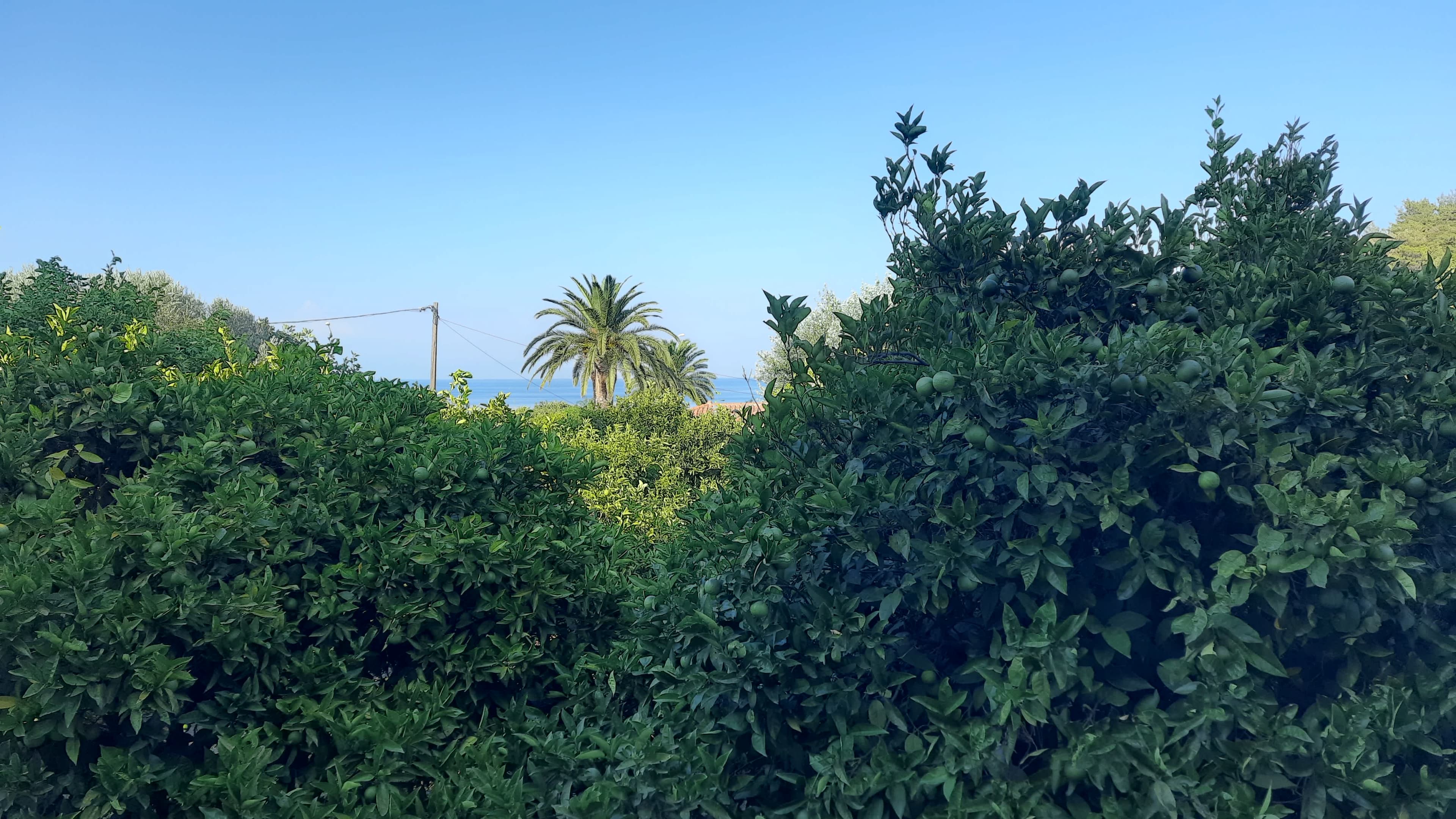 Hotel Stella Bay Ansicht 9