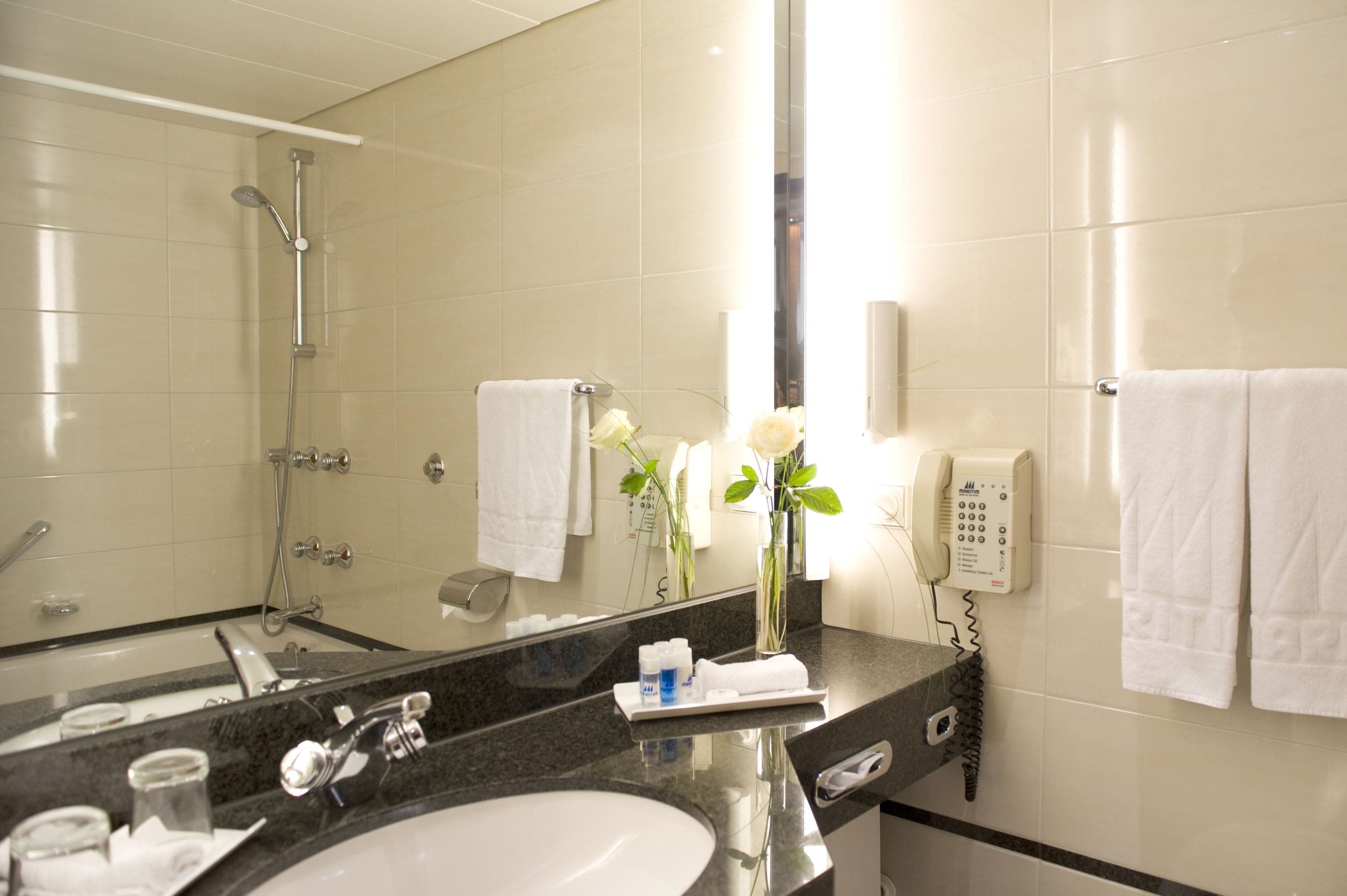 Maritim Hotel Frankfurt Ansicht 8