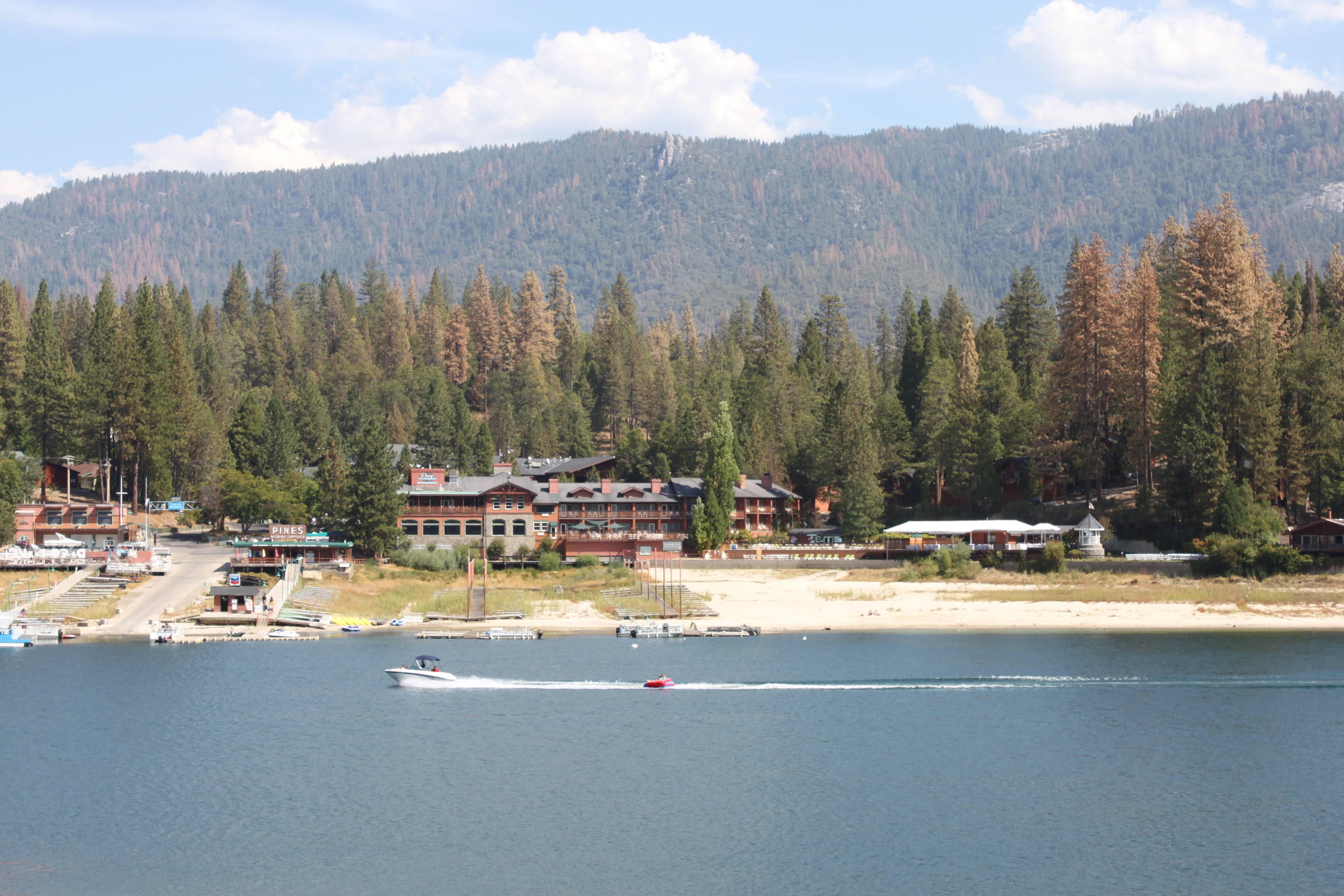 Hotel The Pines Resort