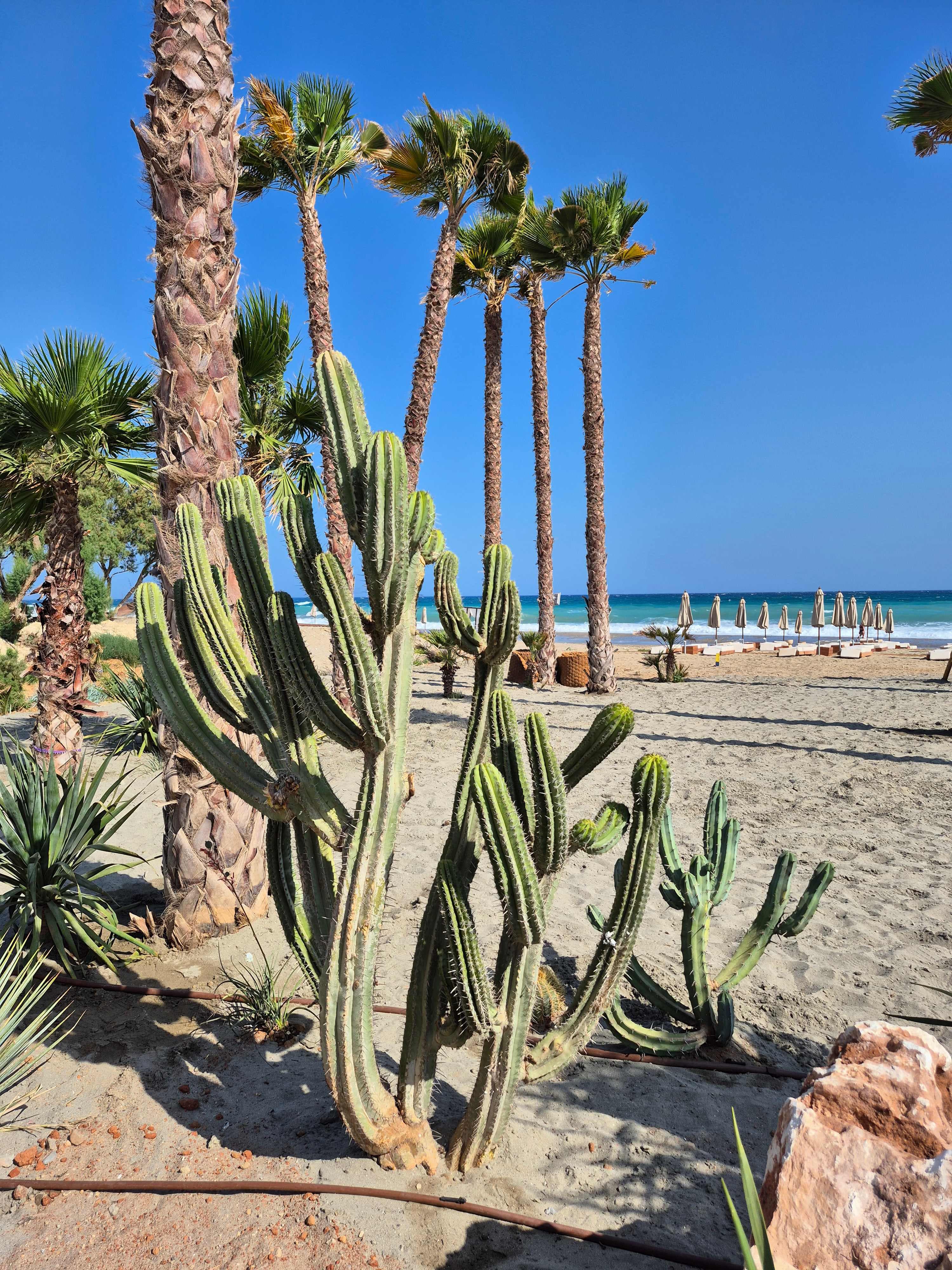Nalu Resort & SPA Adults Only Hotel Ansicht 9