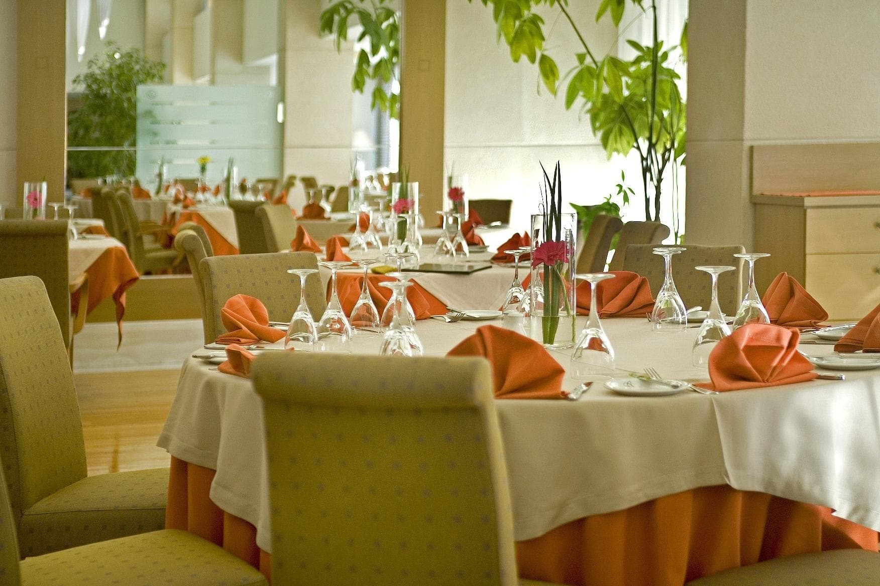 Hotel Golden Age Ansicht 5