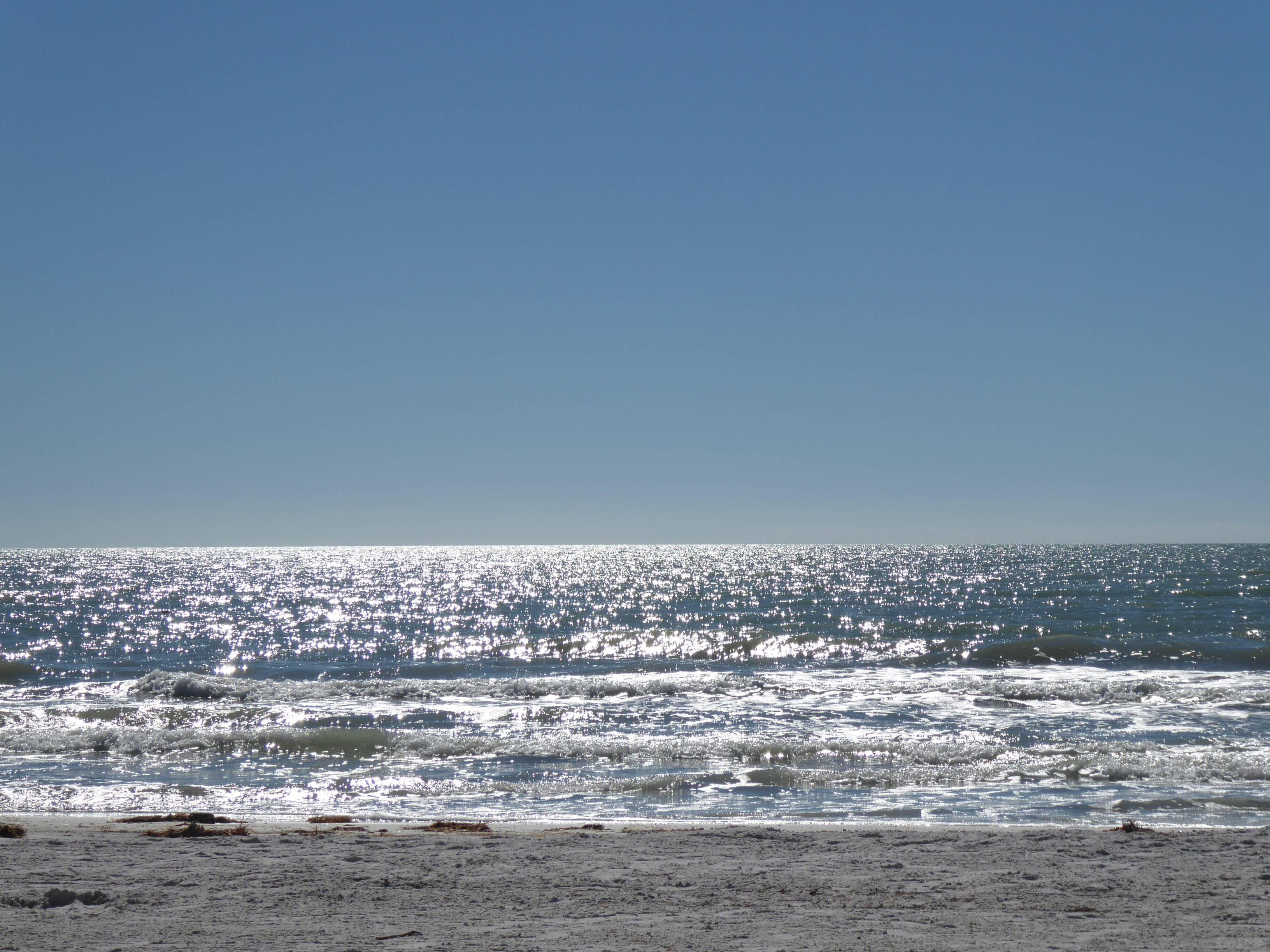 Double Tree Beach Resort Hotel by Hilton Tampa Bay North Redington Beach Ansicht 9