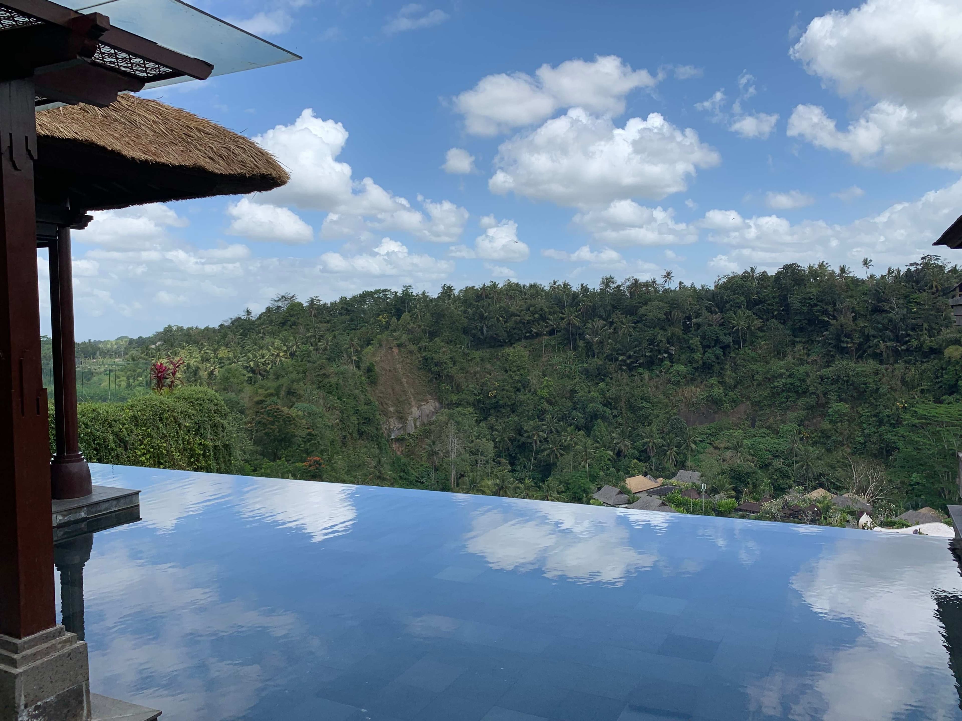 Mandapa, a Ritz-Carlton Reserve Ansicht 6