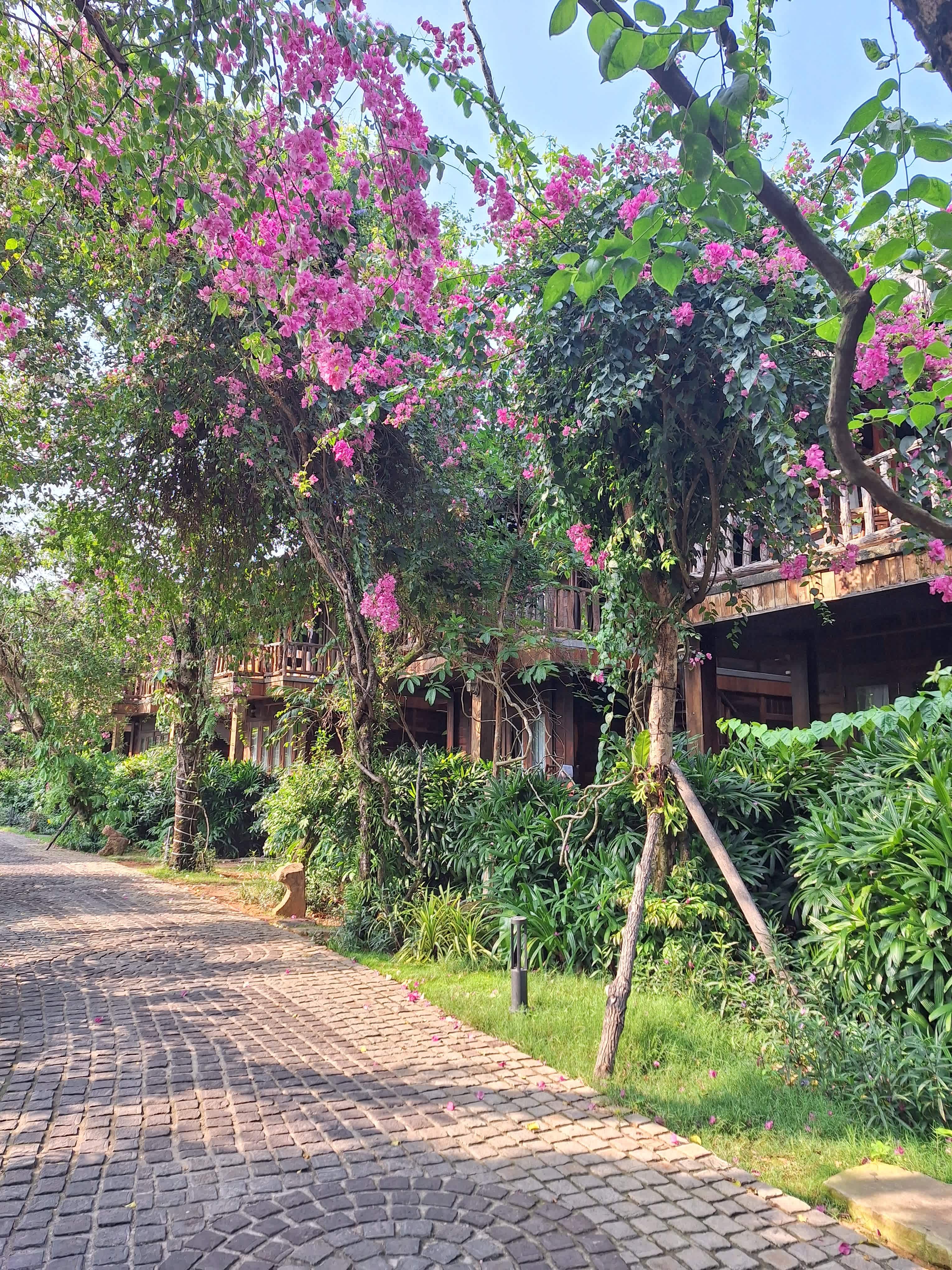 Ocean Bay Resort & Spa Phu Quoc Ansicht 3