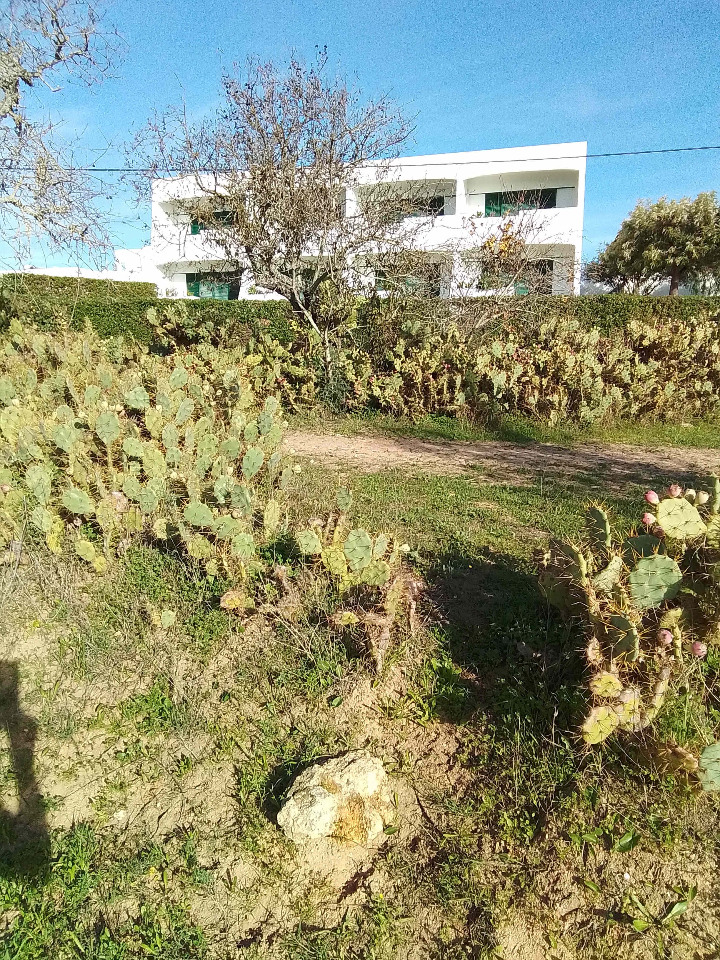Quinta Das Figueirinhas Ansicht 2