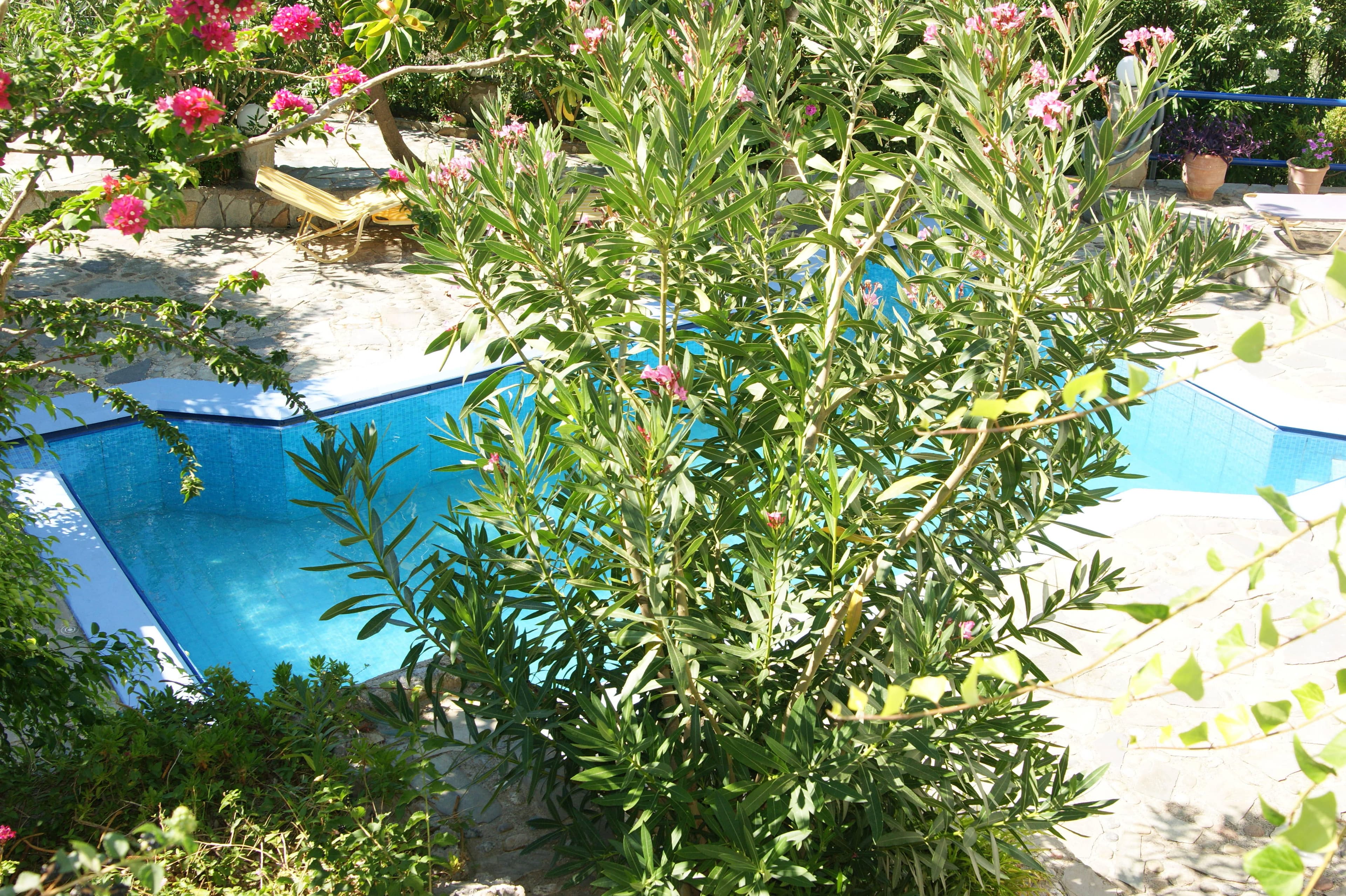 Hotel Lofos Plakias Ansicht 7