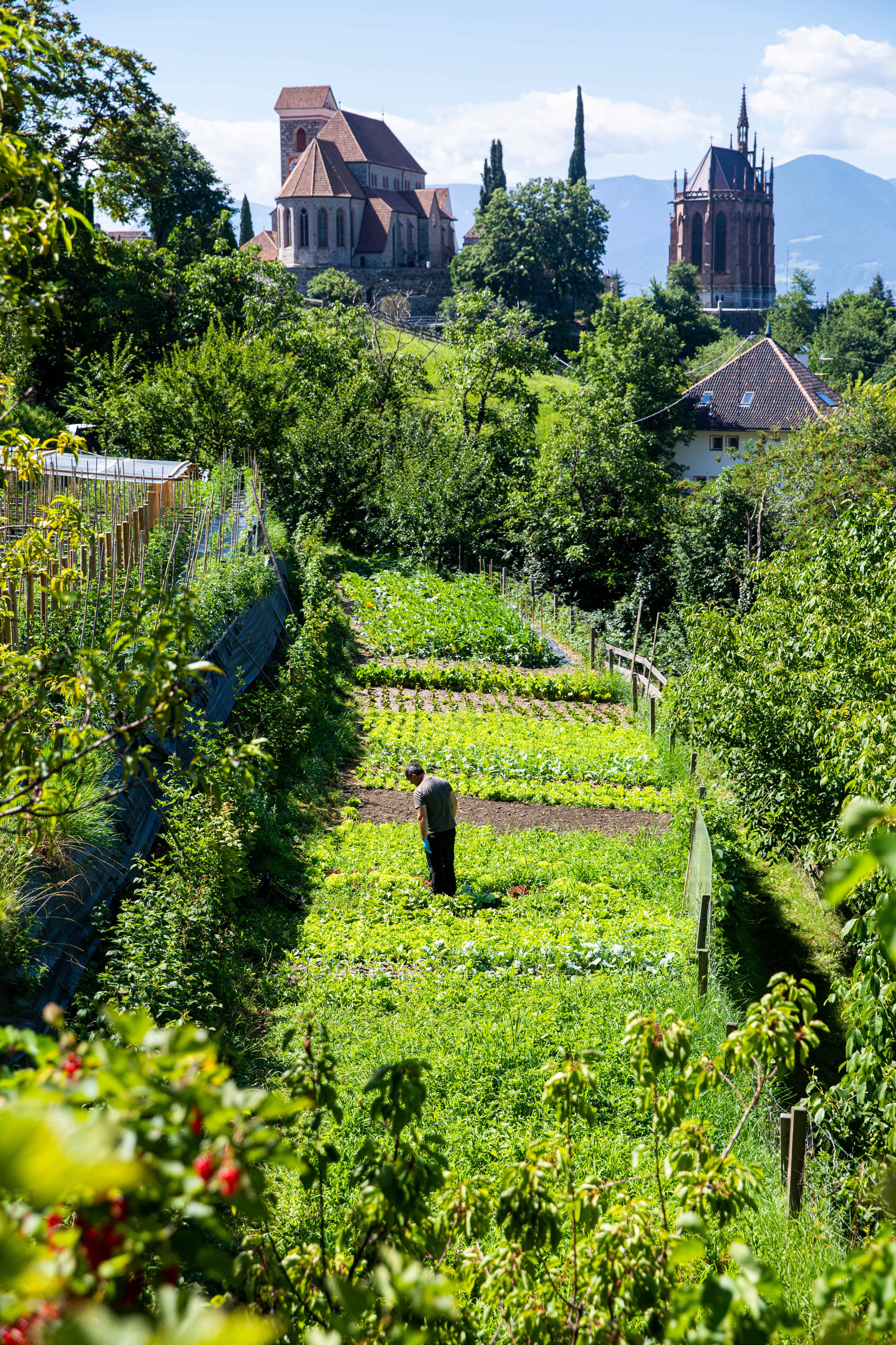 Das Finkennest Panoramic Garden Resort Ansicht 7
