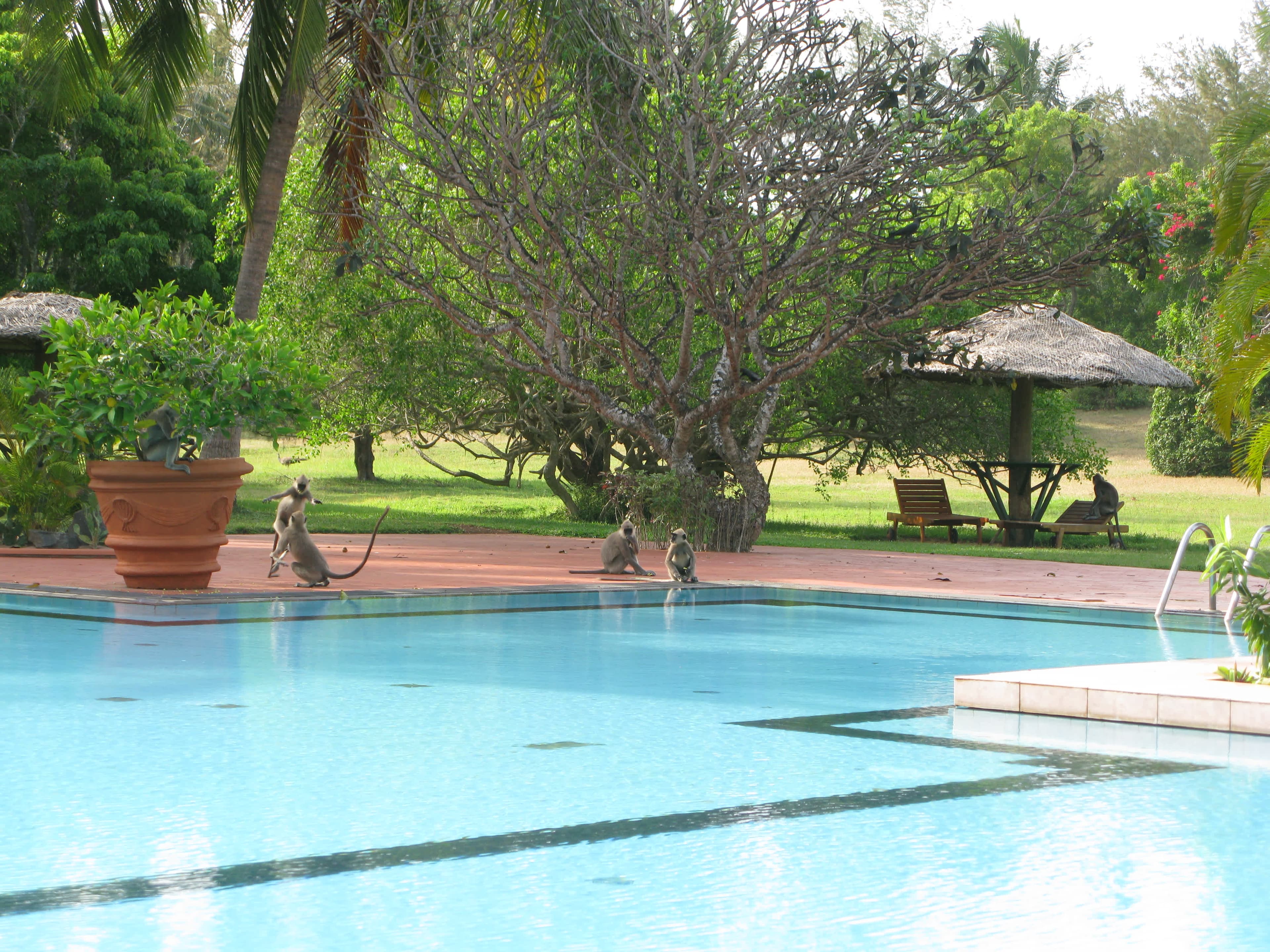 The Oasis Ayurveda Beach Resort Ansicht 4
