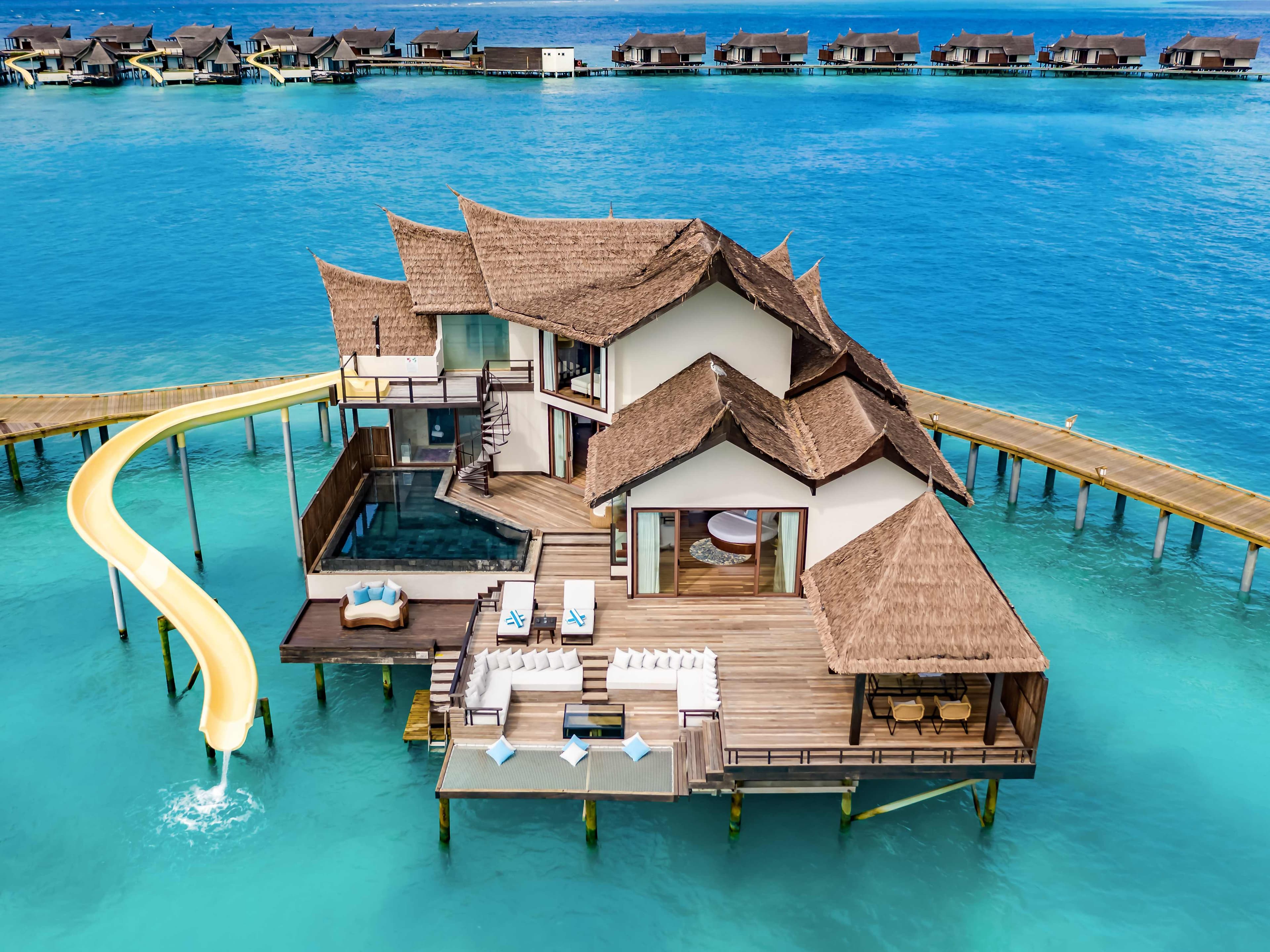 OZEN RESERVE BOLIFUSHI Ansicht 4