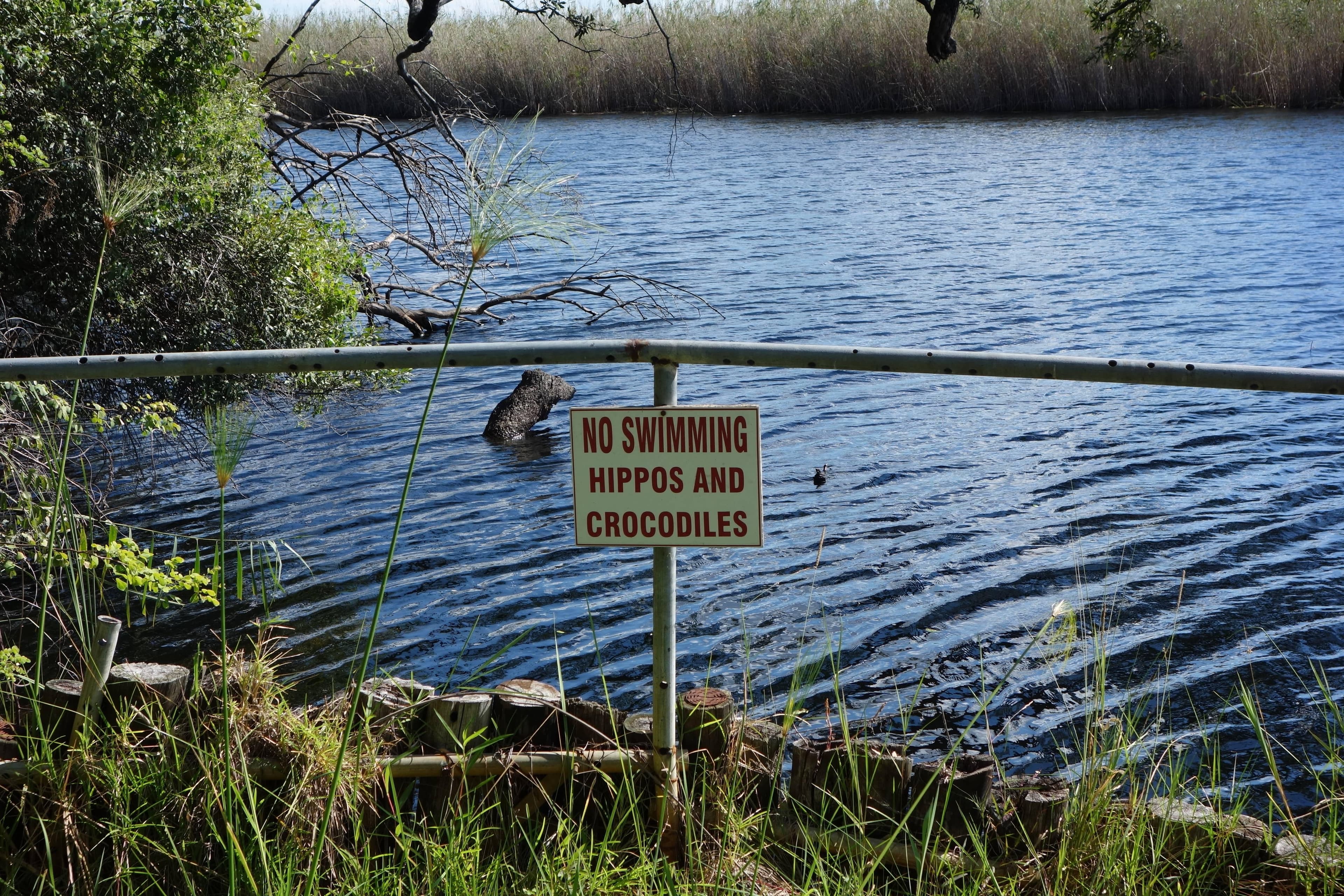 Namushasha River Lodge Ansicht 8