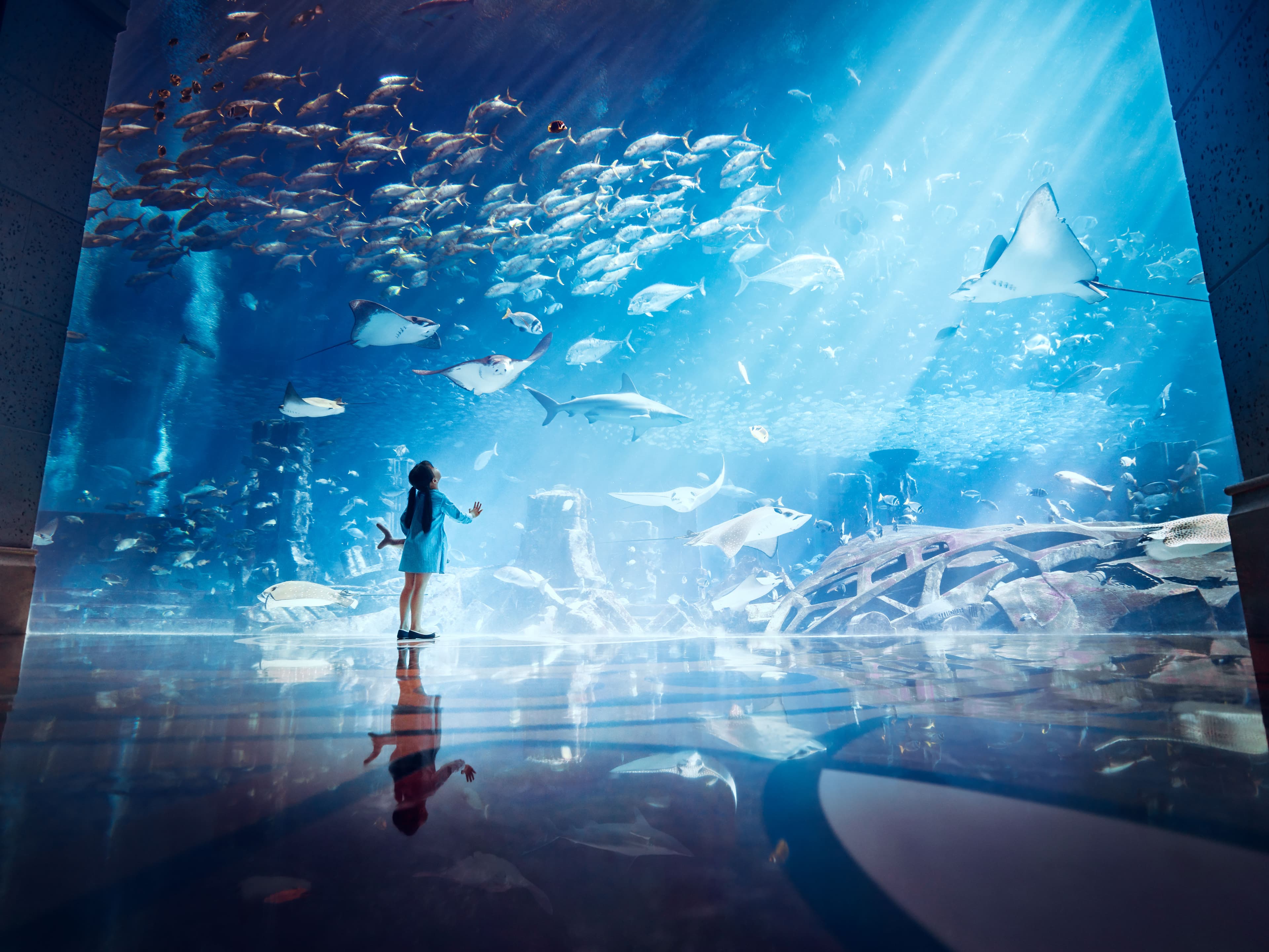 Atlantis, The Palm Ansicht 7