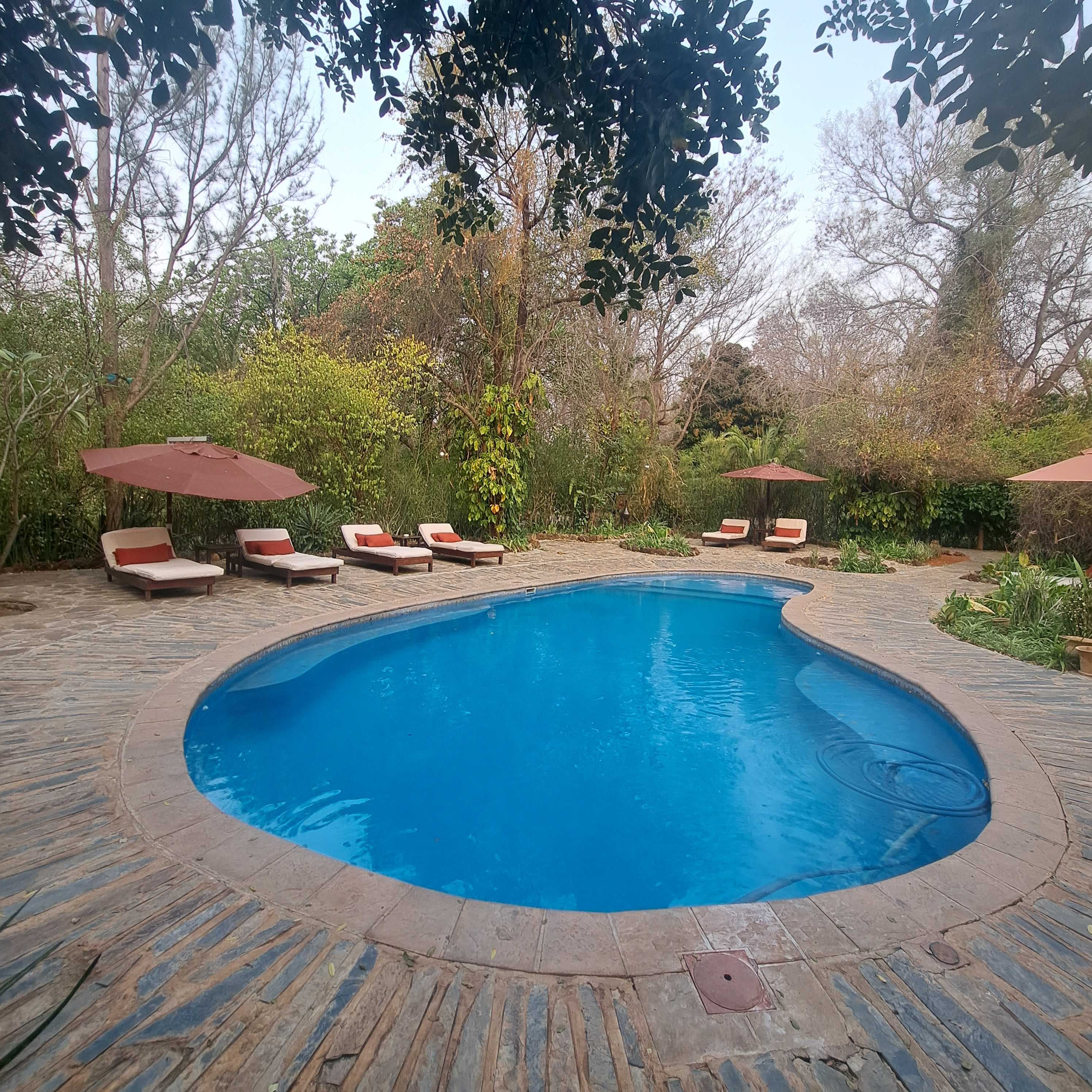 Divava Okavango Lodge & Spa Ansicht 7