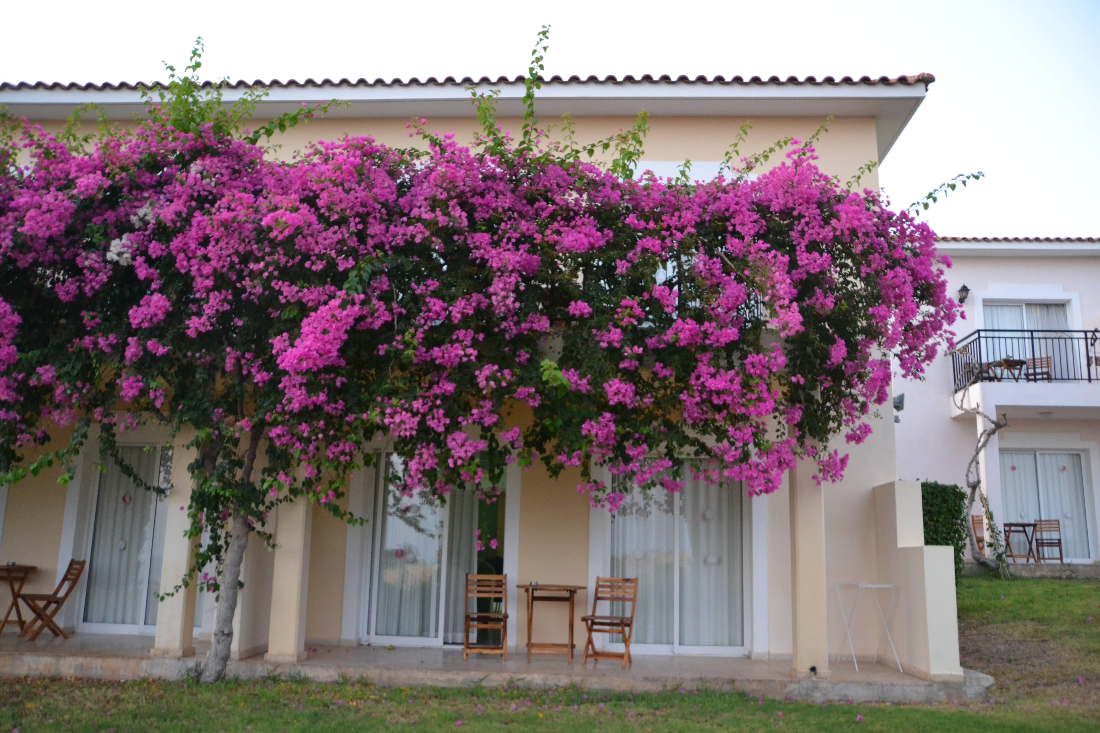 Akamanthea Holiday Village Latchi Ansicht 6