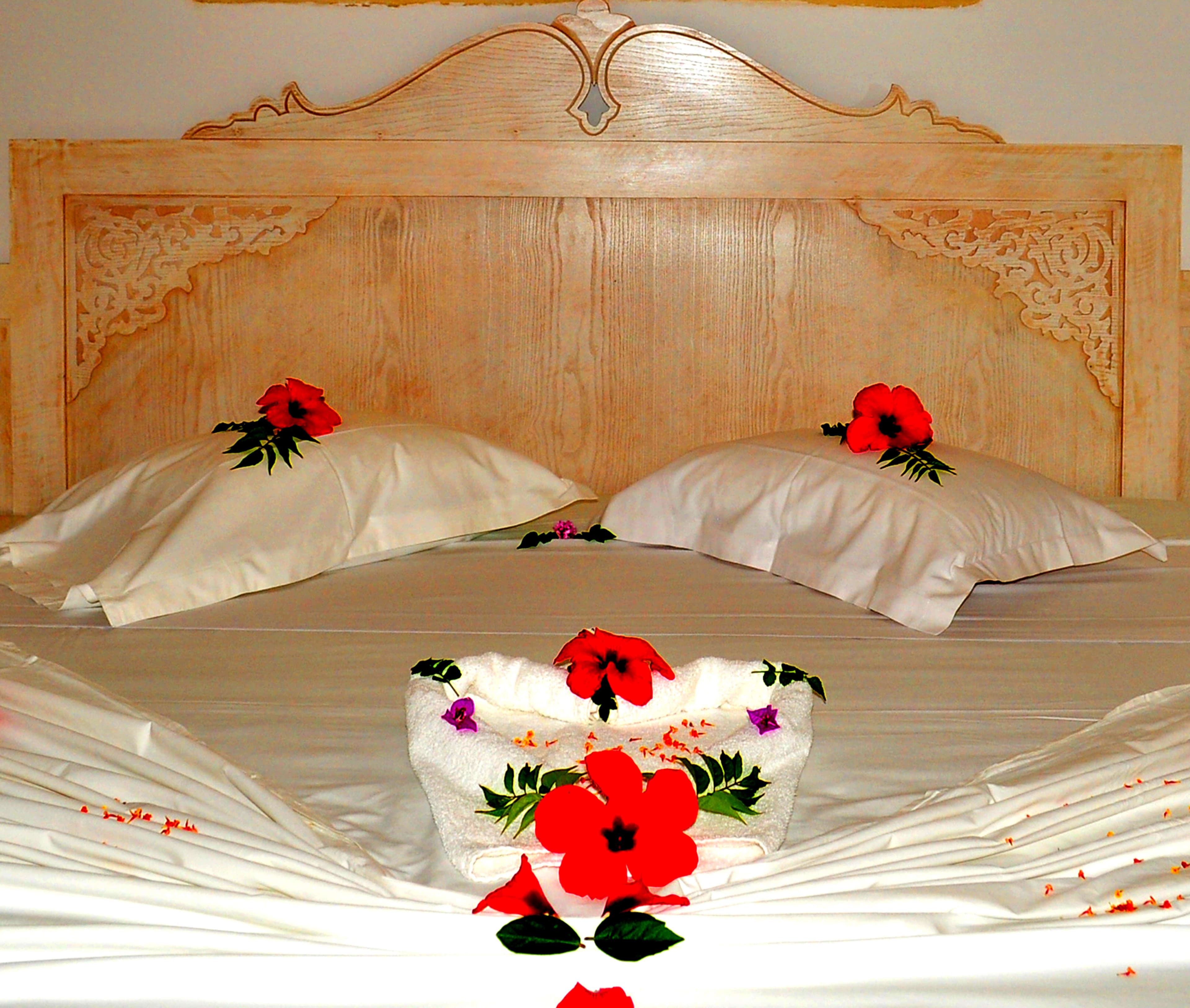 Hotel Zodiac Ansicht 5