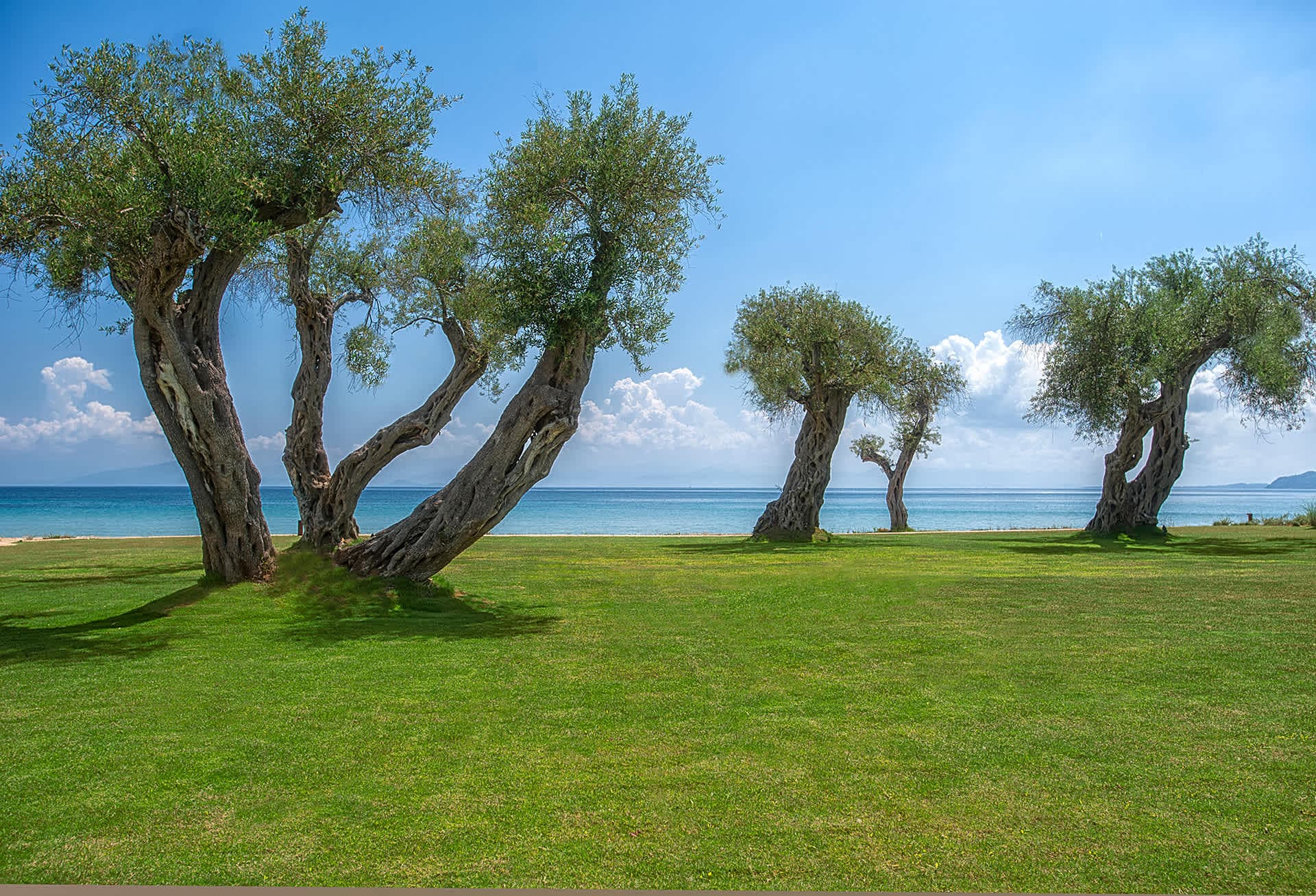 Domes Miramare, a Luxury Collection Resort, Corfu Ansicht 9