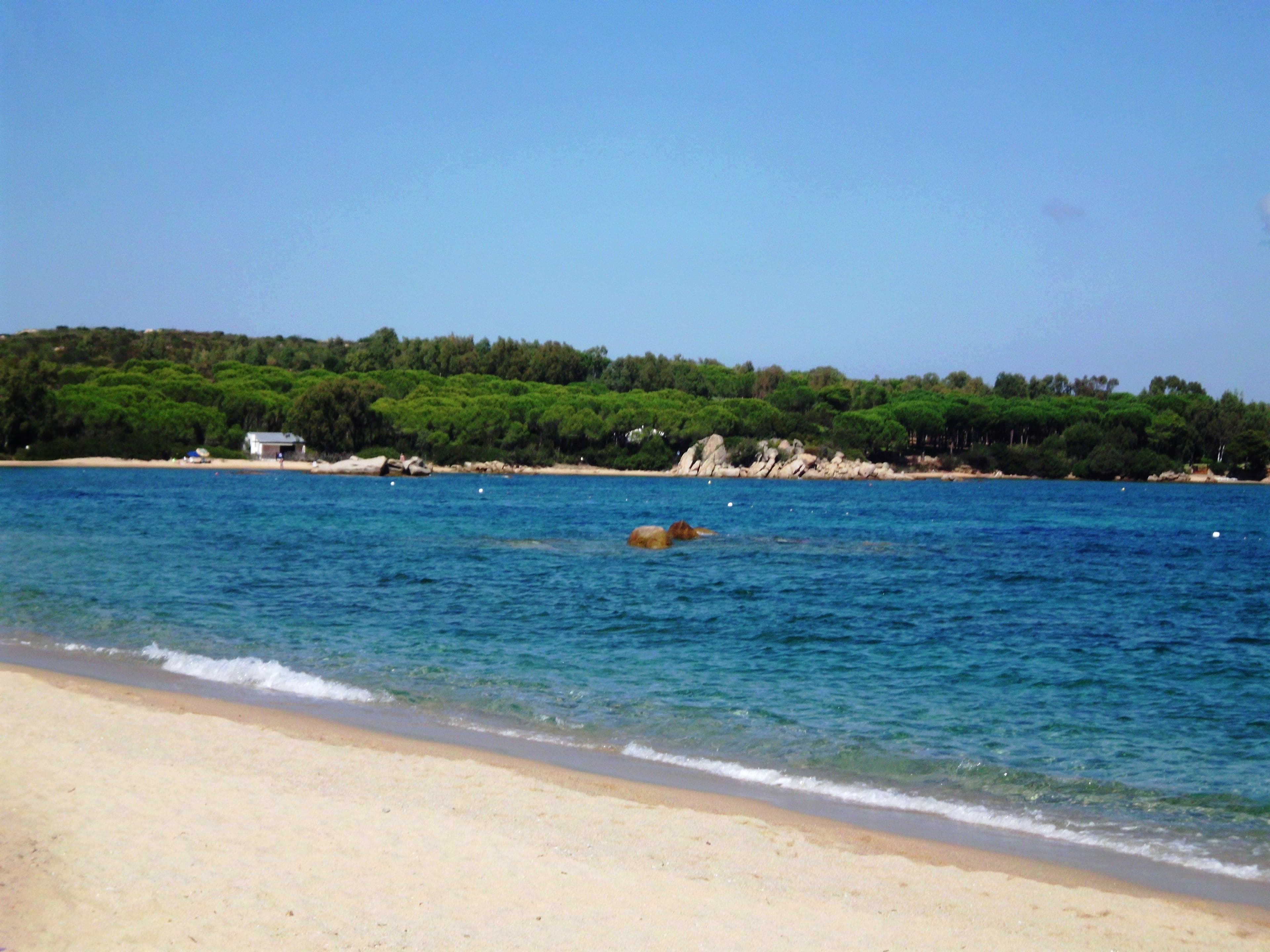 Hotel Stelle Marine Ansicht 9