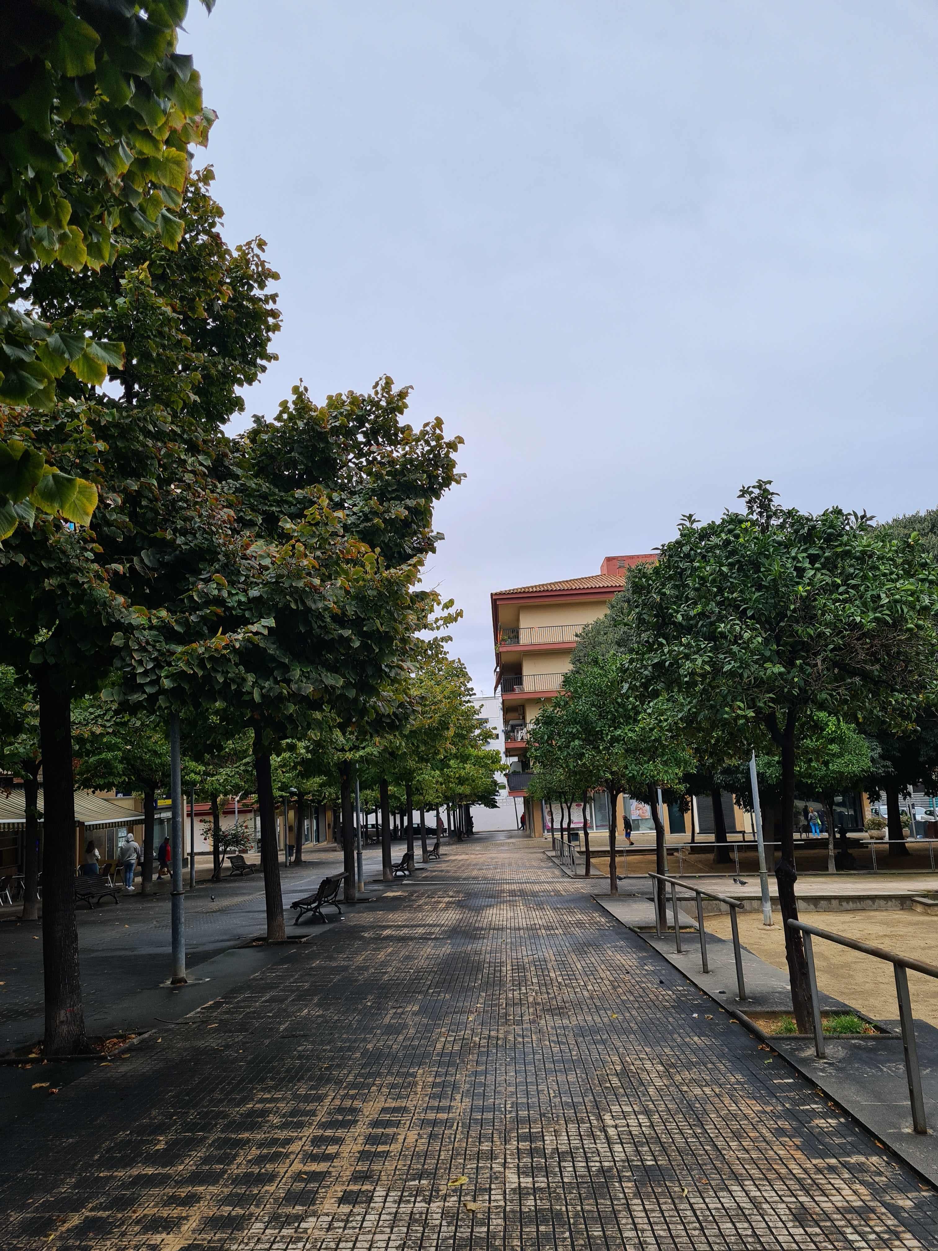 Hotel Kaktus Playa Ansicht 9