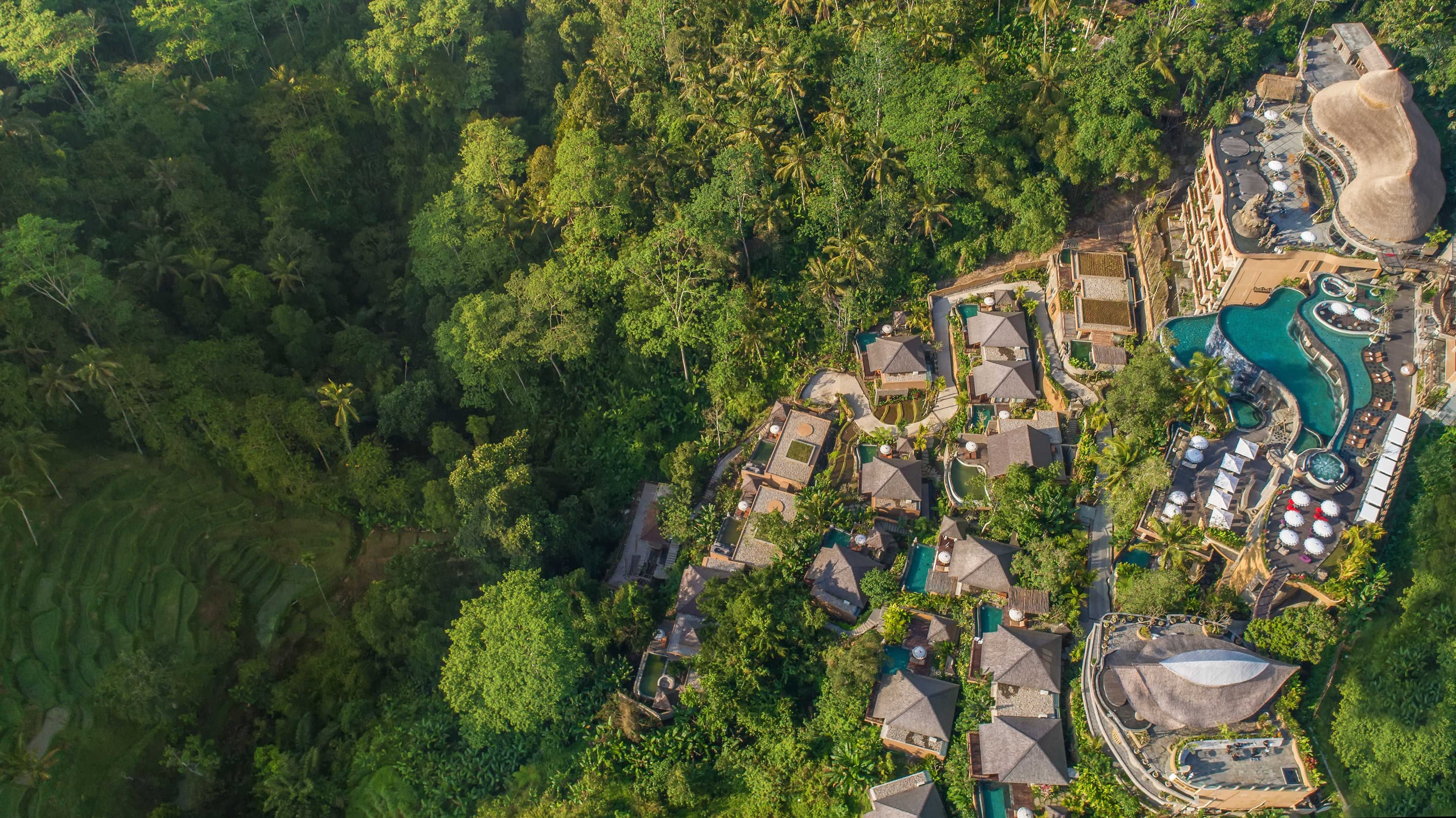 The Kayon Jungle Resort Ansicht 2