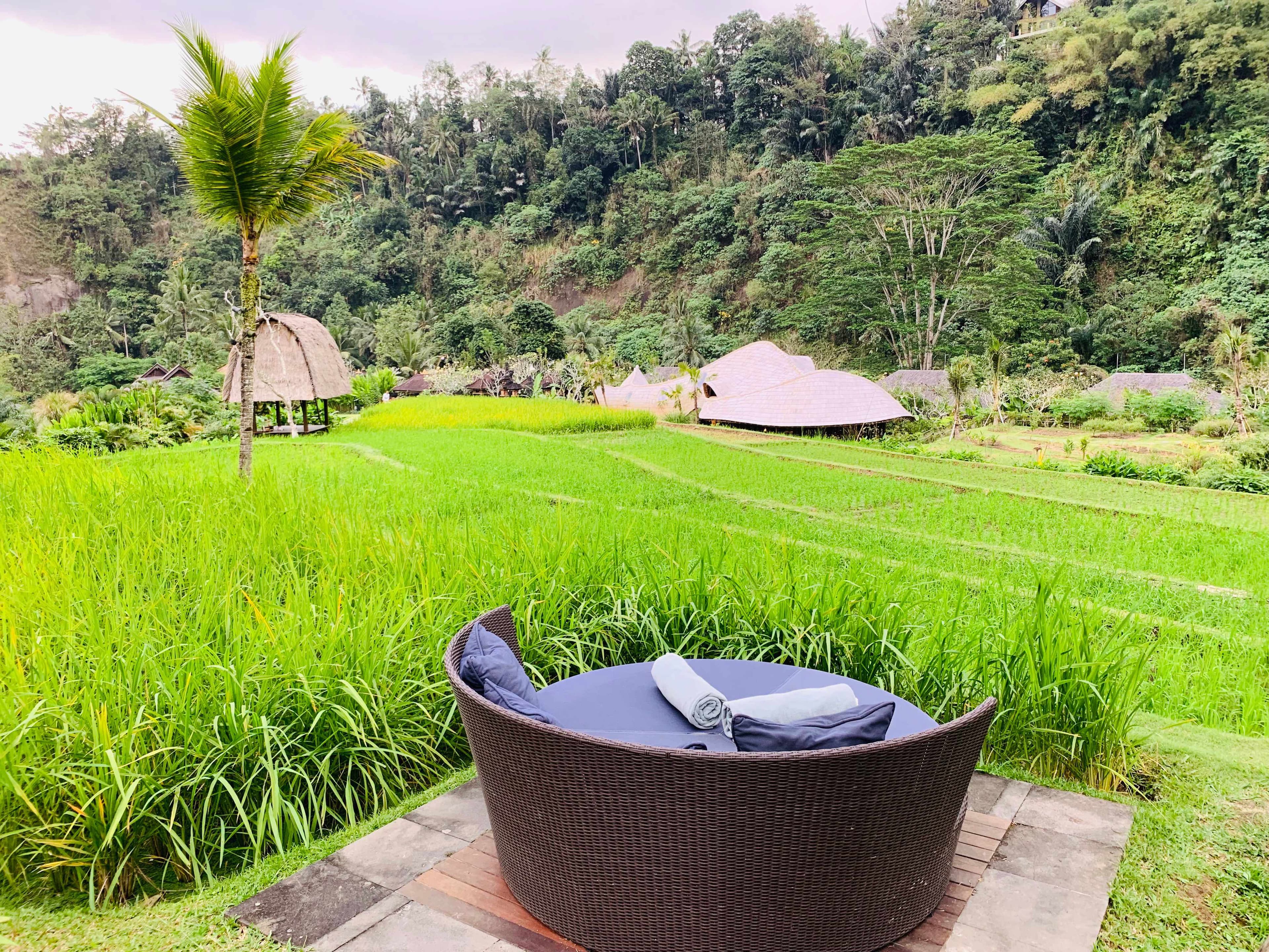 Mandapa, a Ritz-Carlton Reserve Ansicht 9