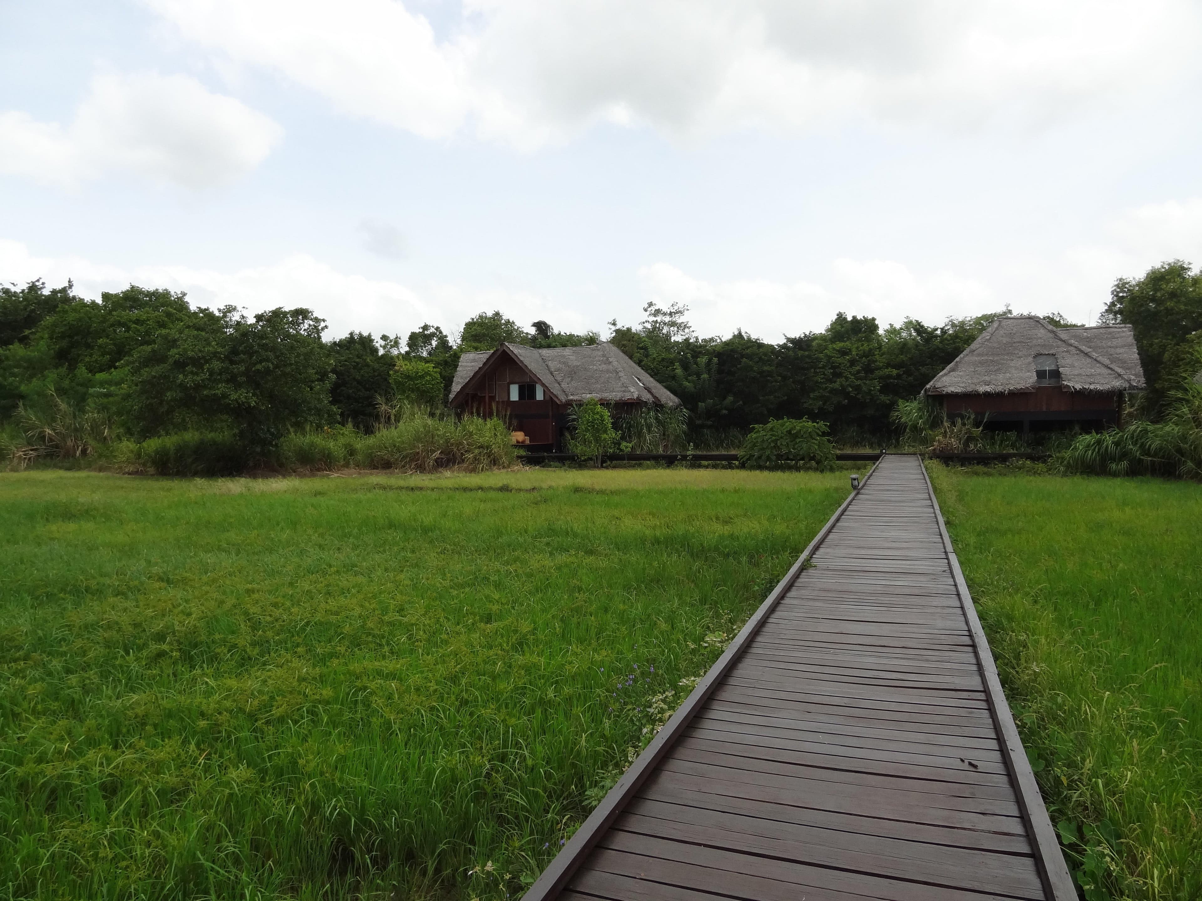 Hotel Jetwing Vil Uyana Ansicht 5