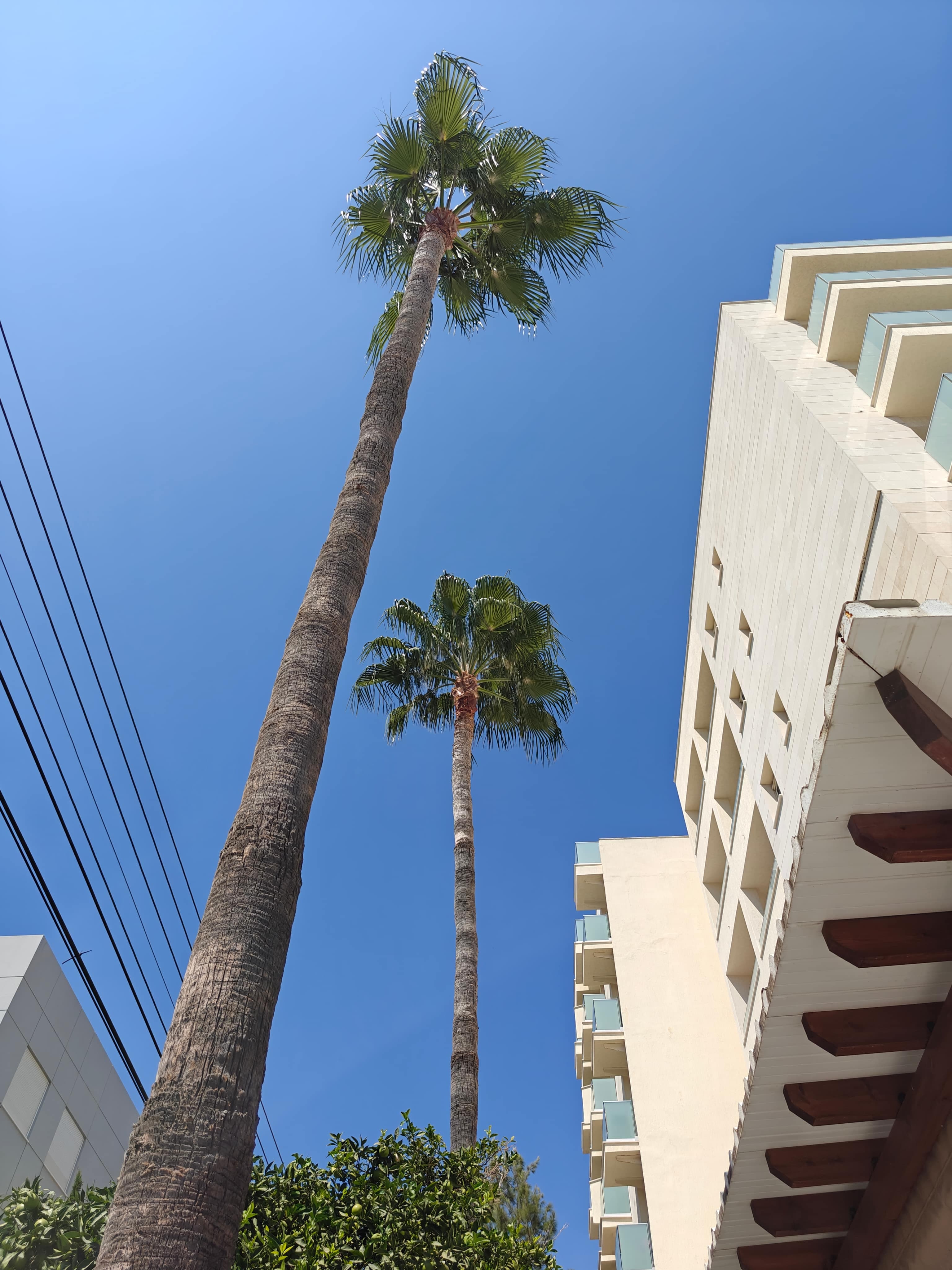 Hotel Kapetanios Ansicht 2