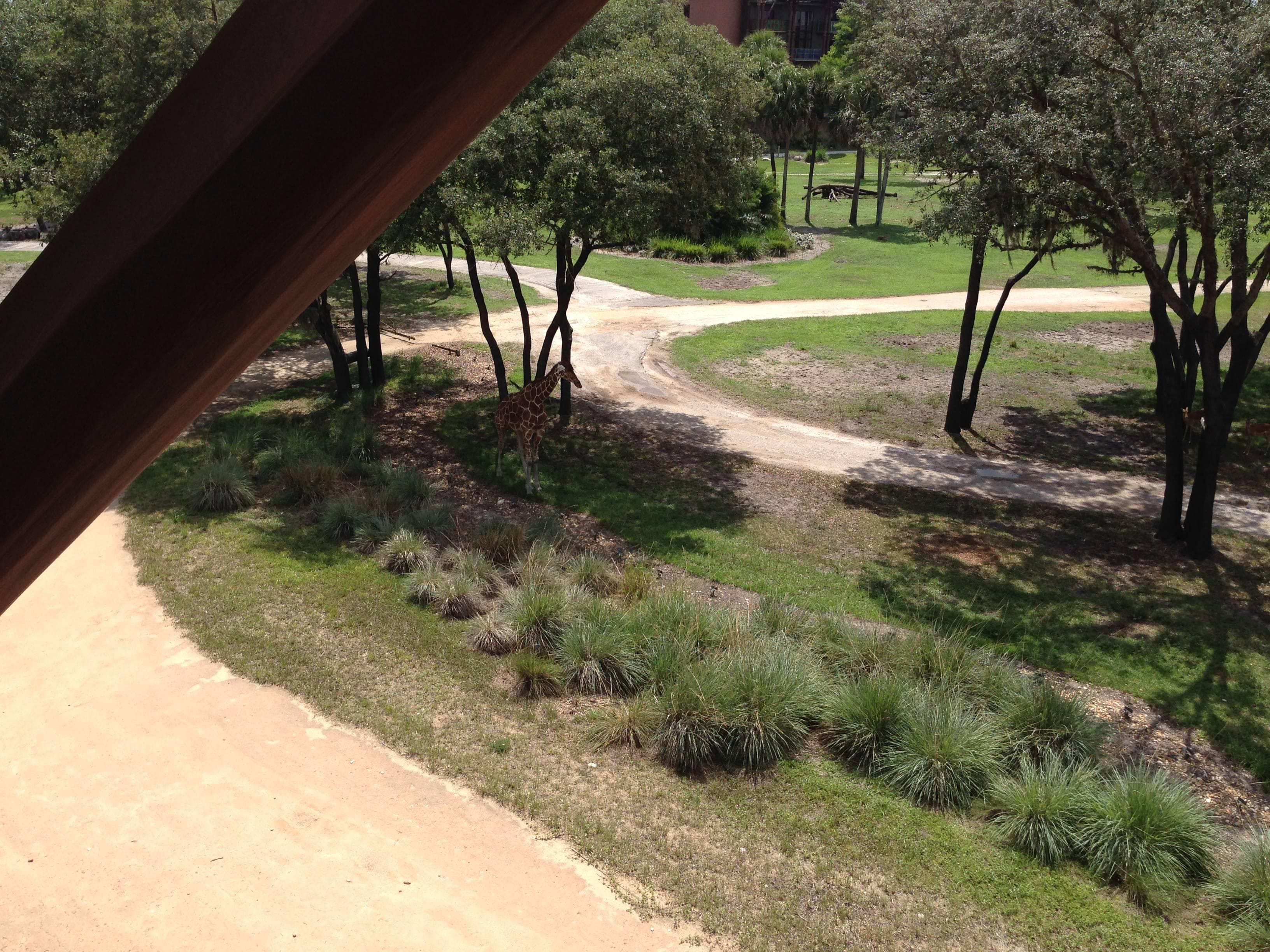 Hotel Disney's Animal Kingdom Lodge Ansicht 9