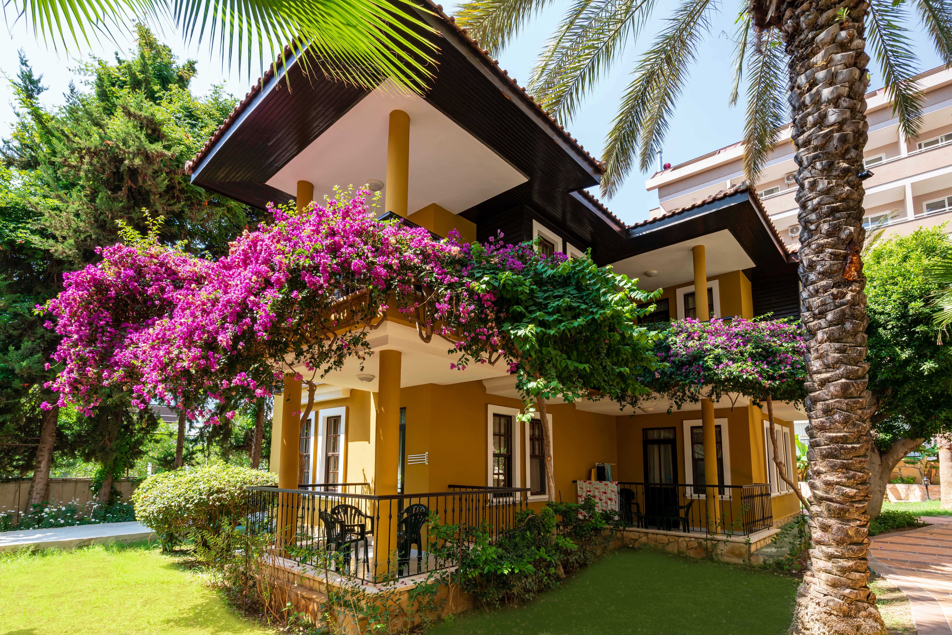 Club Dizalya