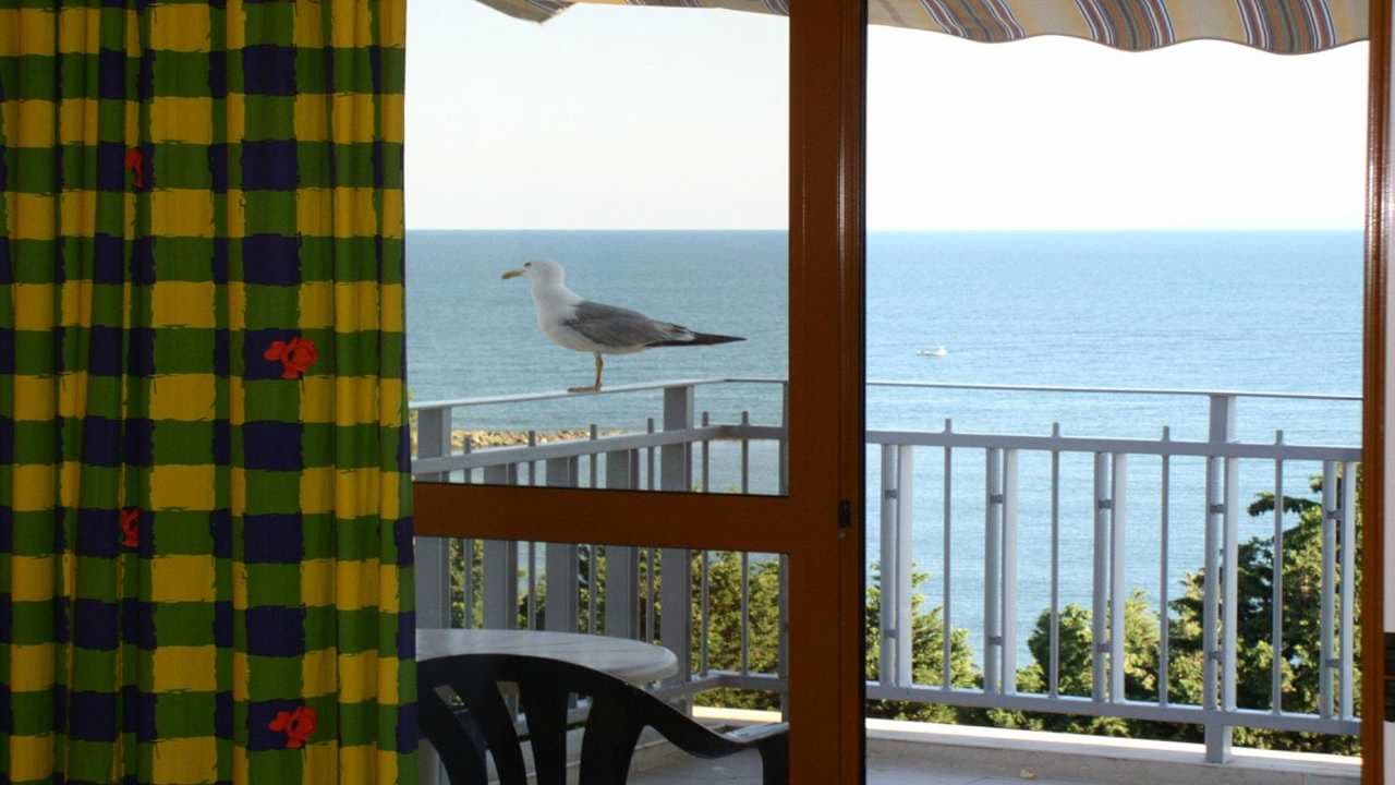 Sol Nessebar Bay Ansicht 6