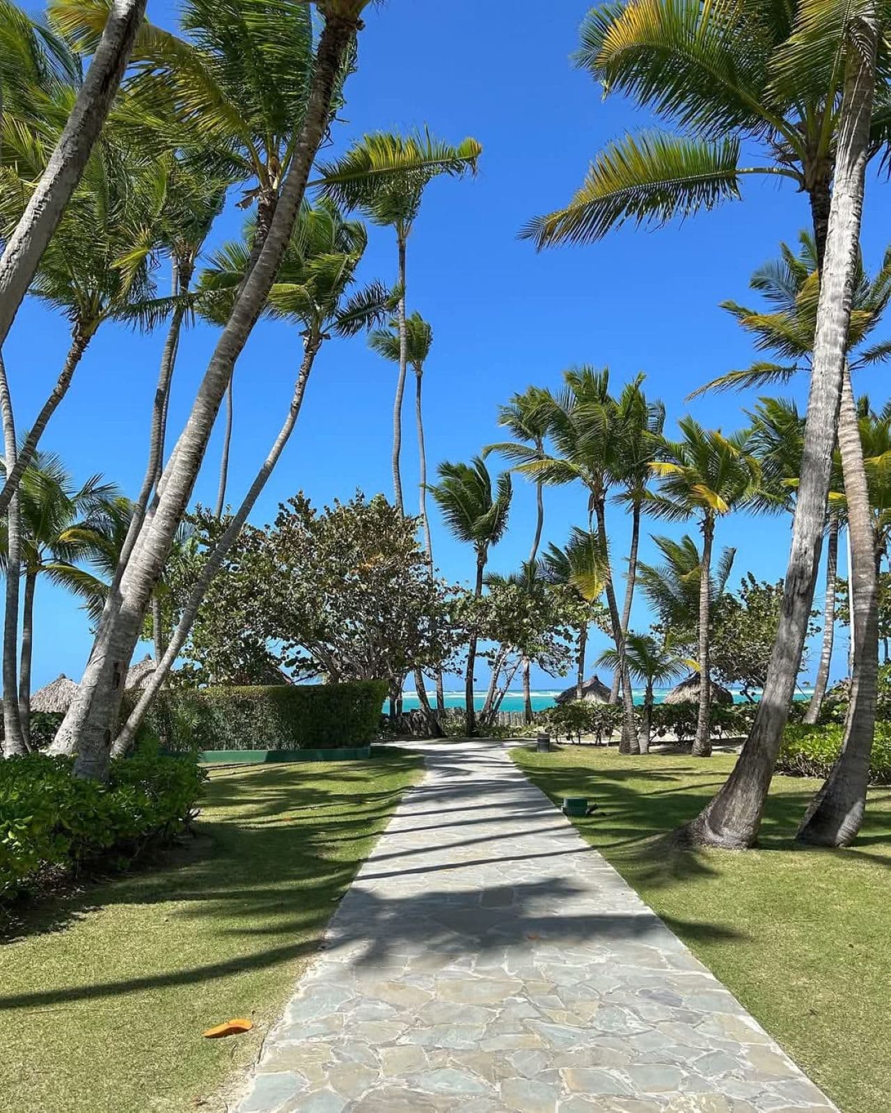 Grand Palladium Punta Cana Resort & Spa Ansicht 3