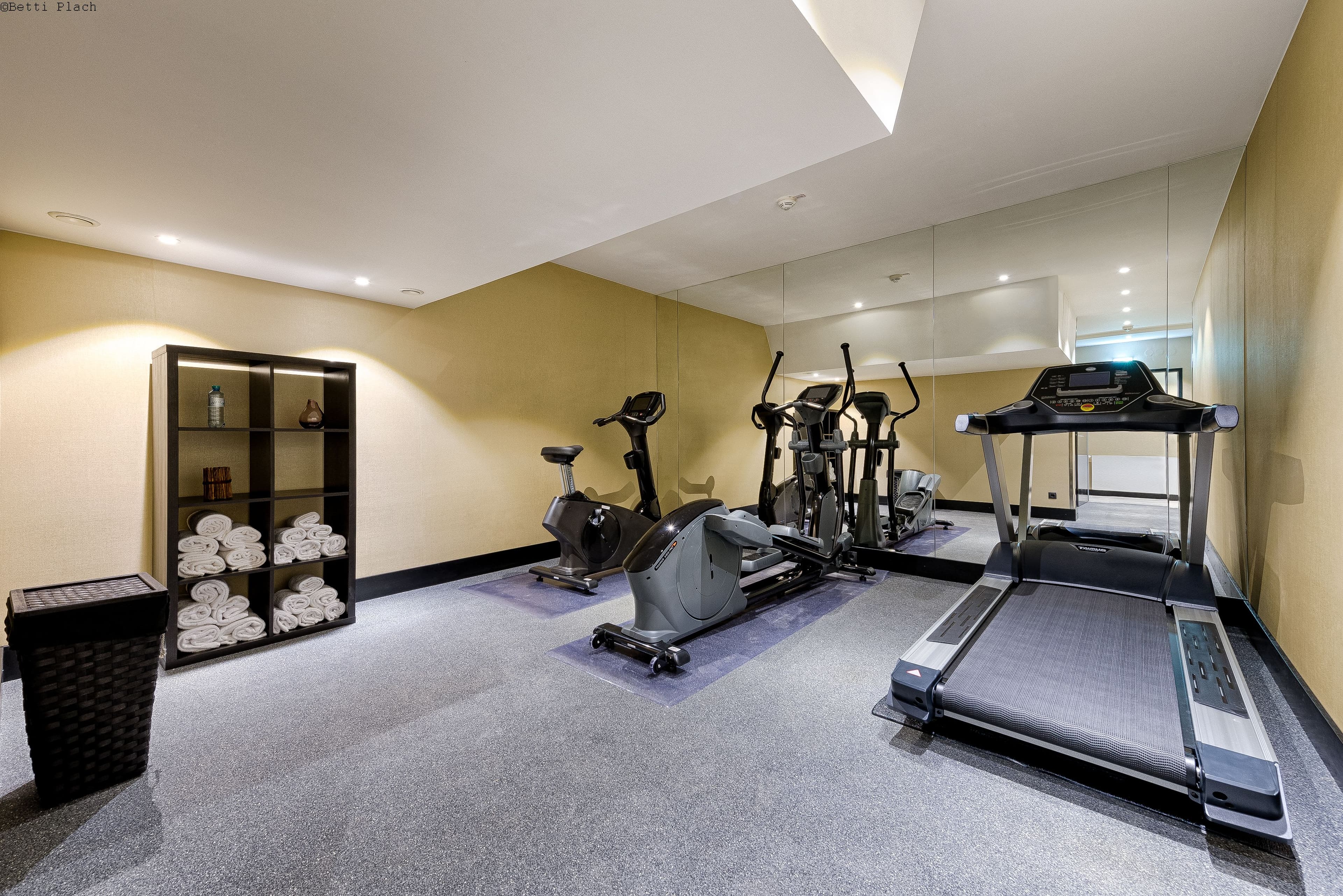 Mercure Hotel Raphael Wien Ansicht 9