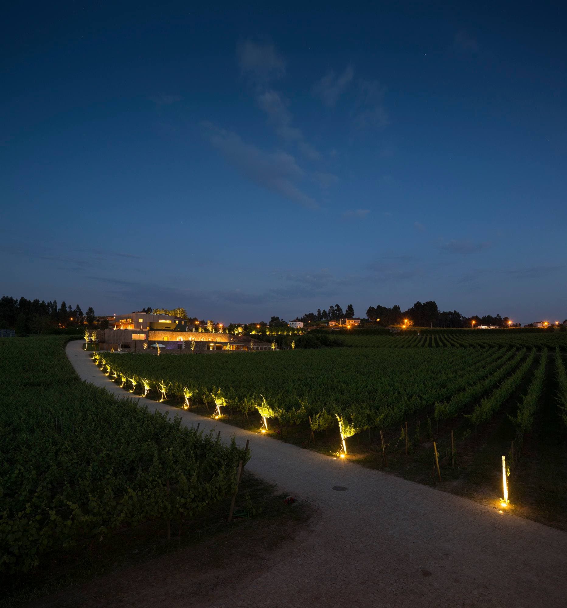 Monverde - Wine Experience Hotel - by Unlock Hotels Ansicht 2